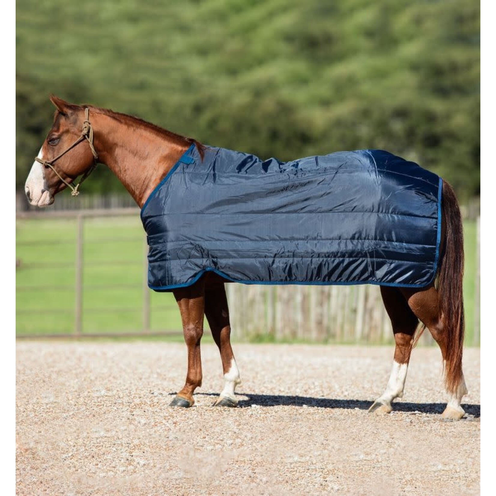 Horseware Horseware Liner 100g