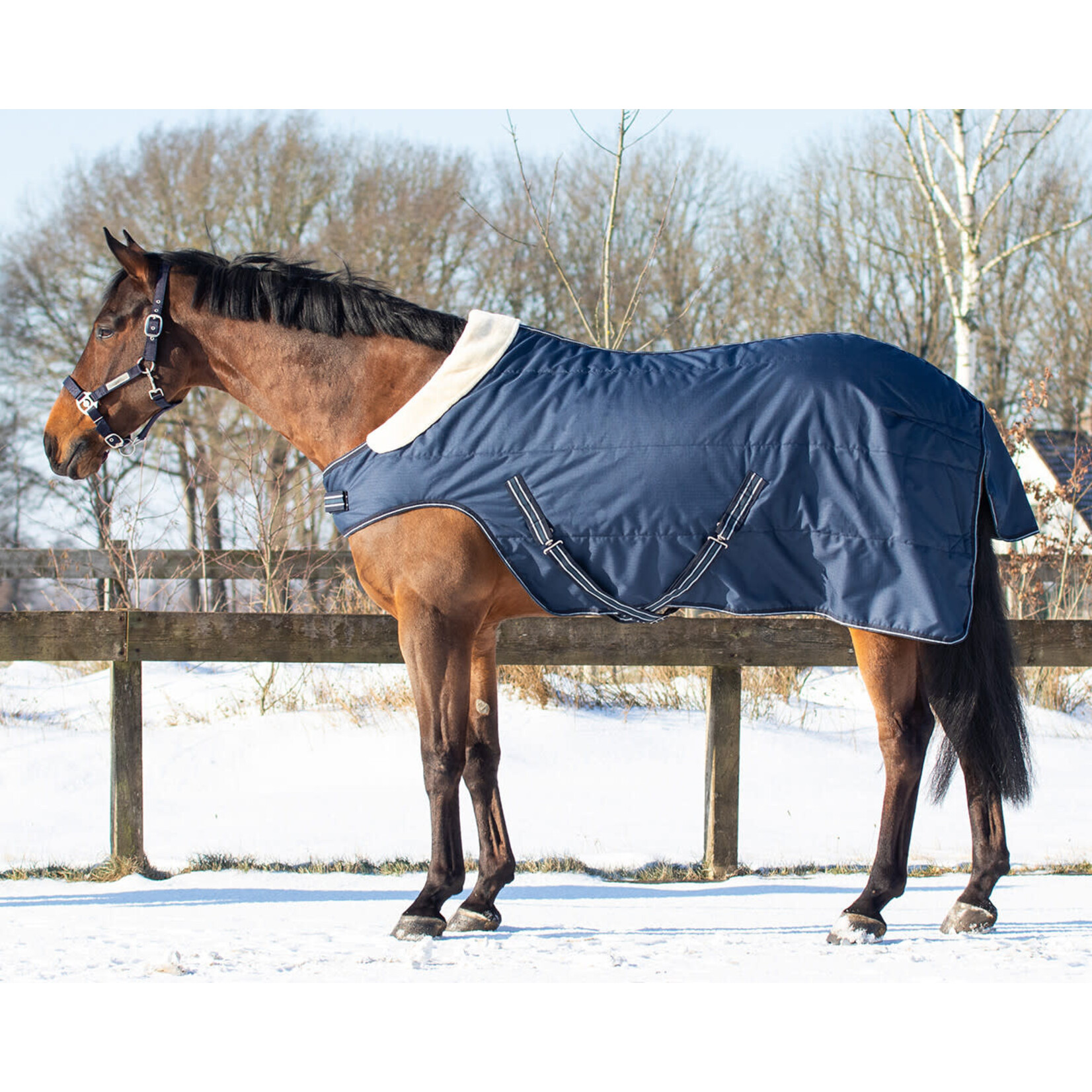 QHP QHP Staldeken 200gr met schouderuitsparing
