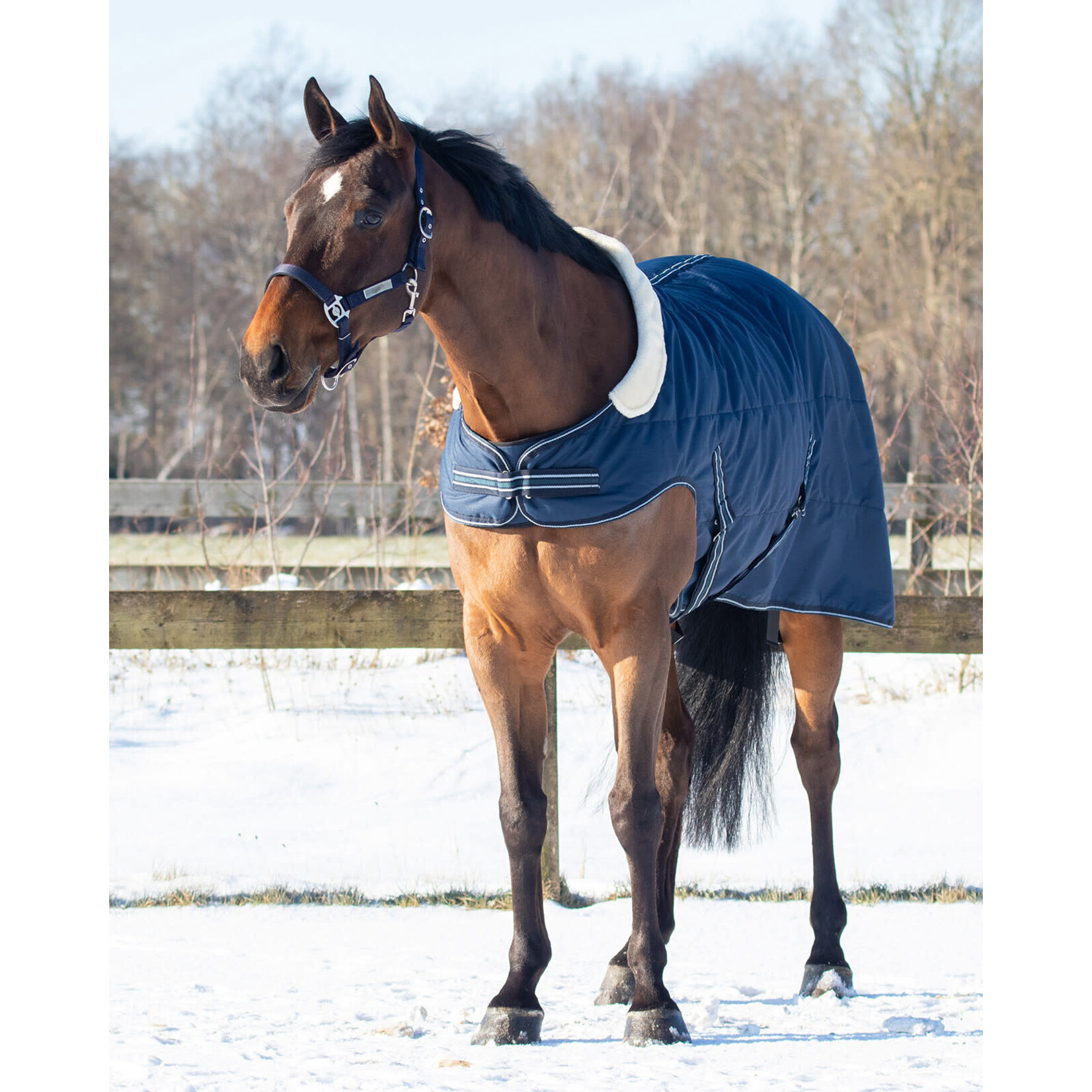 QHP QHP Staldeken 200gr met schouderuitsparing