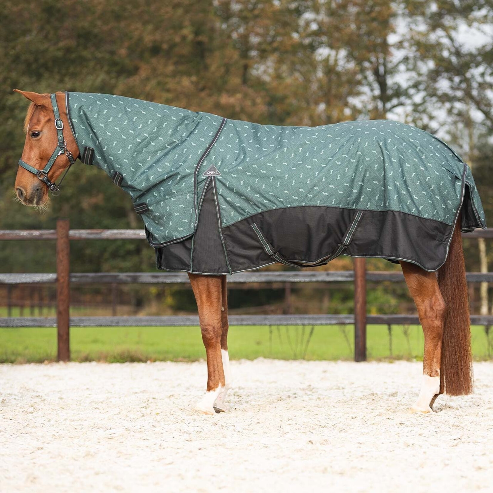 QHP Regendeken 1200D turnout collection 150gr afneembare hals