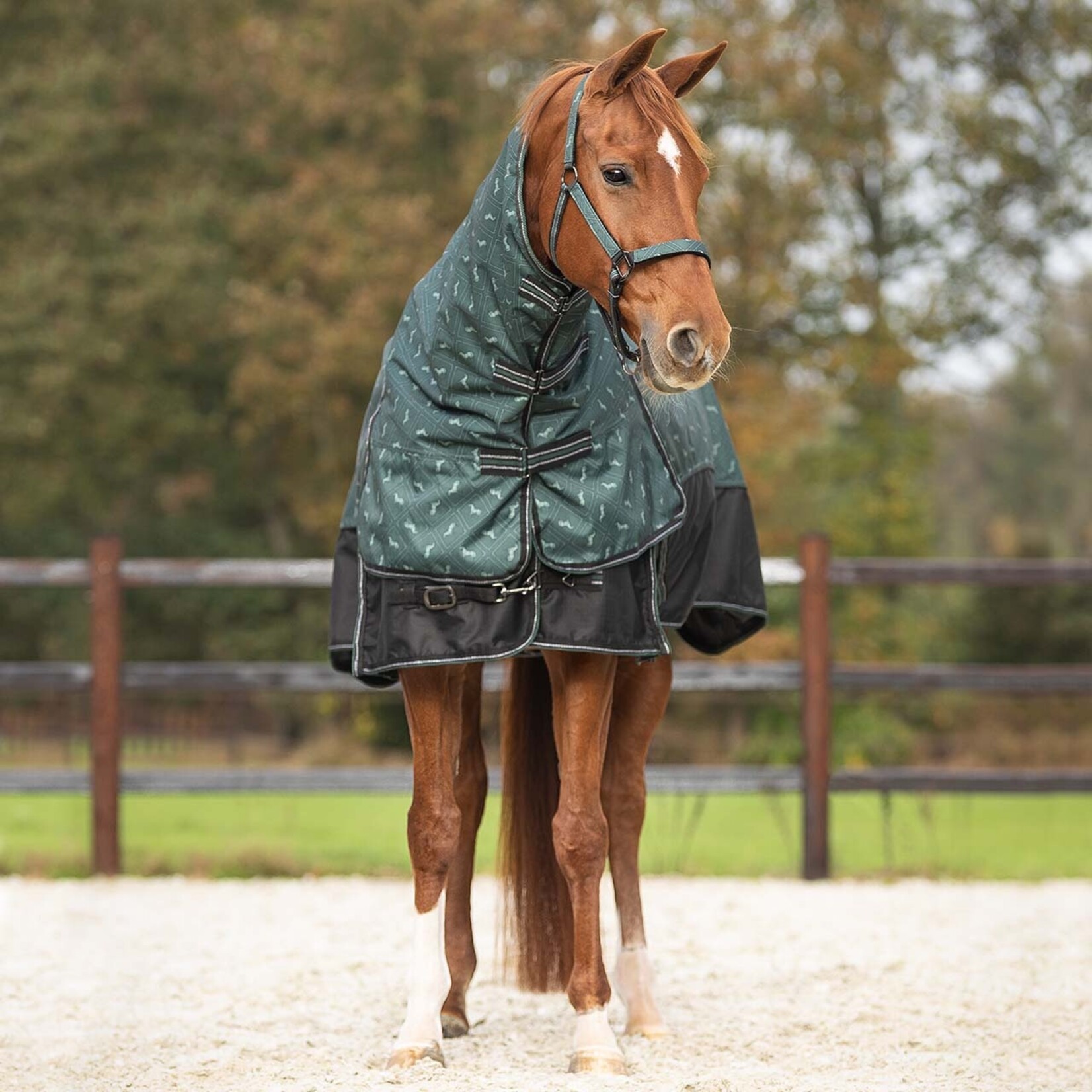 QHP Regendeken 1200D turnout collection 150gr afneembare hals