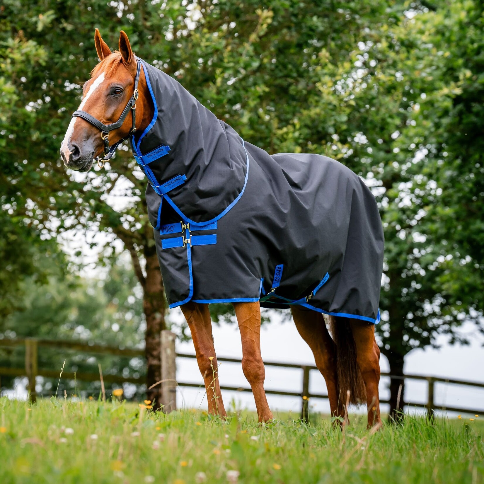 Horseware Amigo Ripstop 900D PLUS 100G