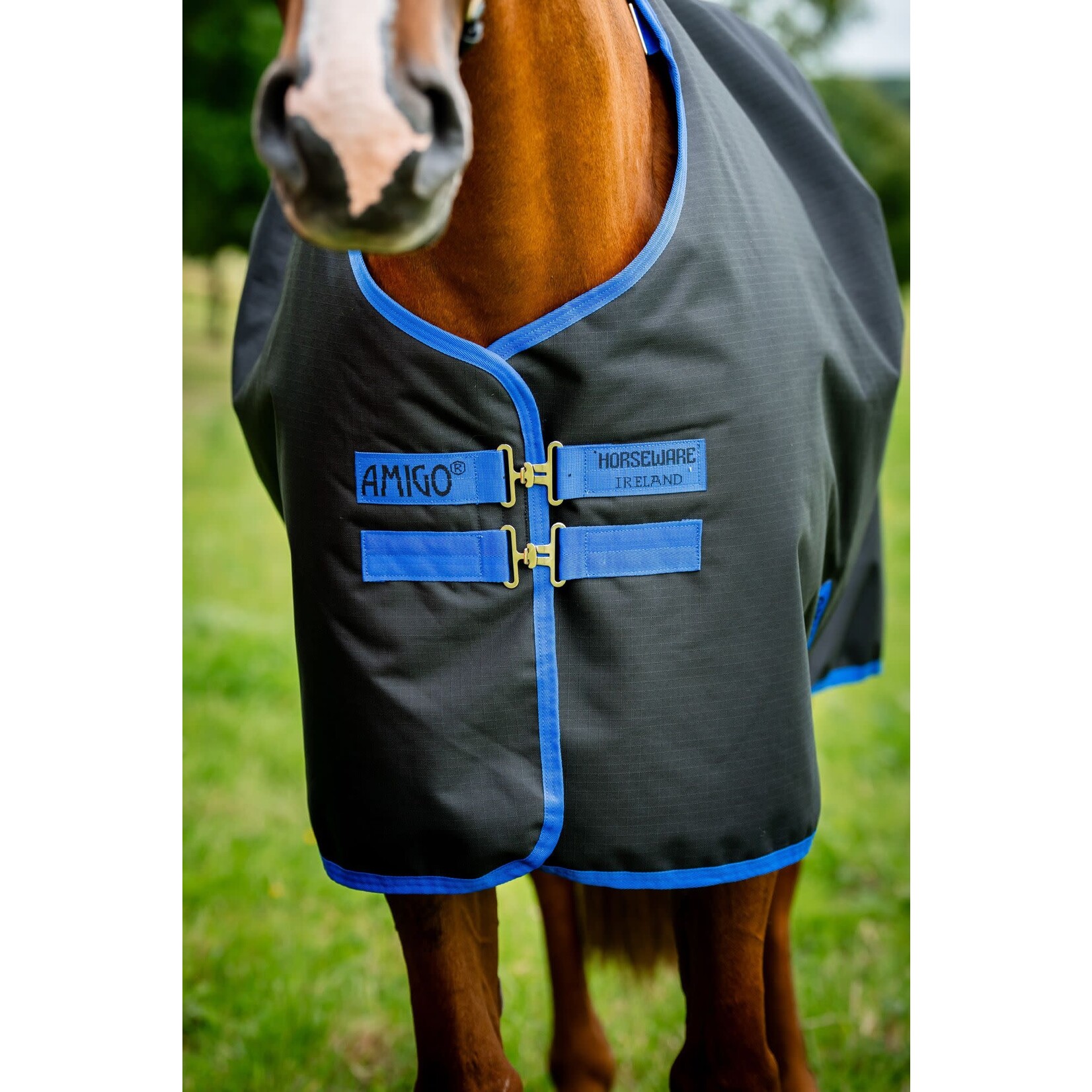 Horseware Amigo Ripstop 900D PLUS 100G
