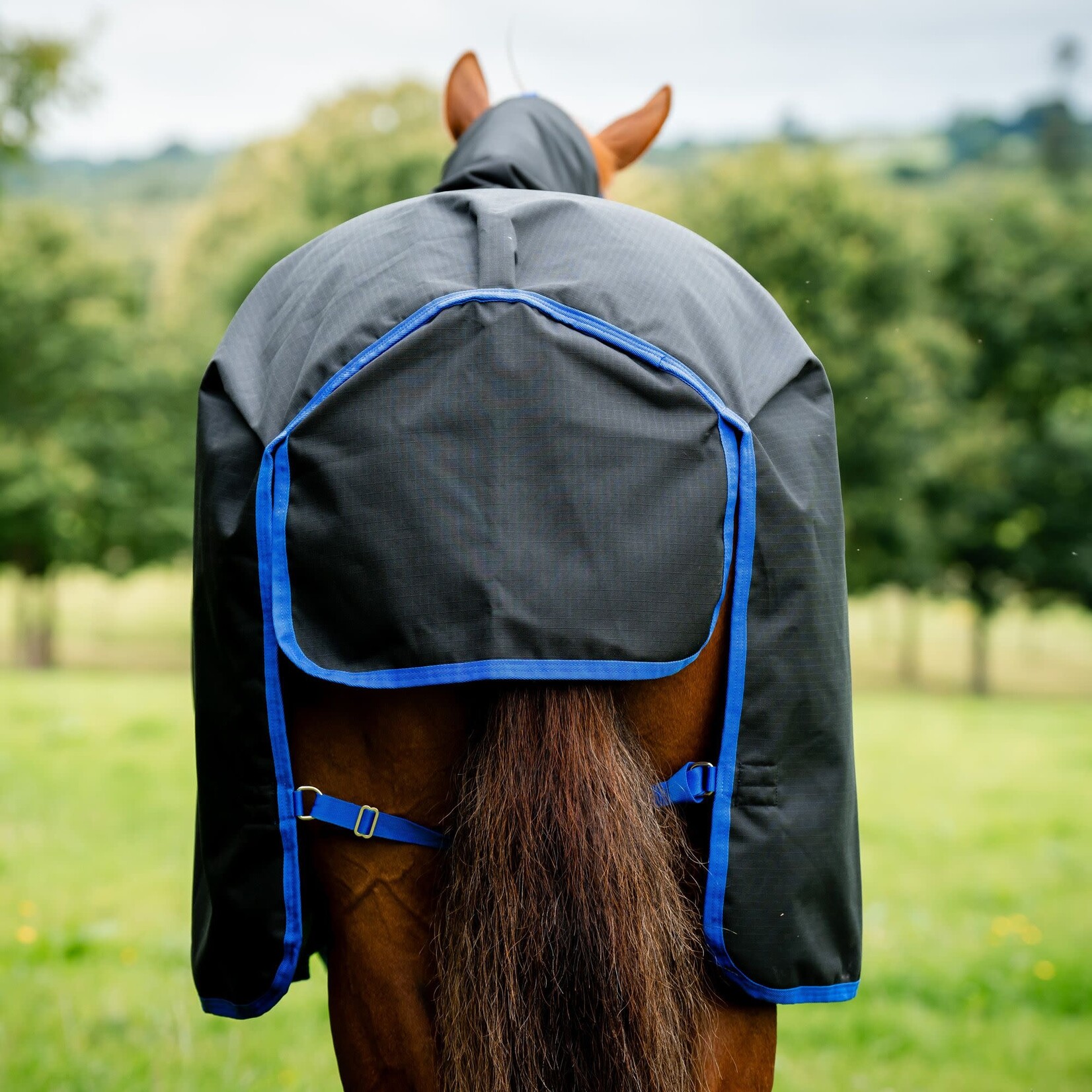 Horseware Amigo Ripstop 900D PLUS 100G