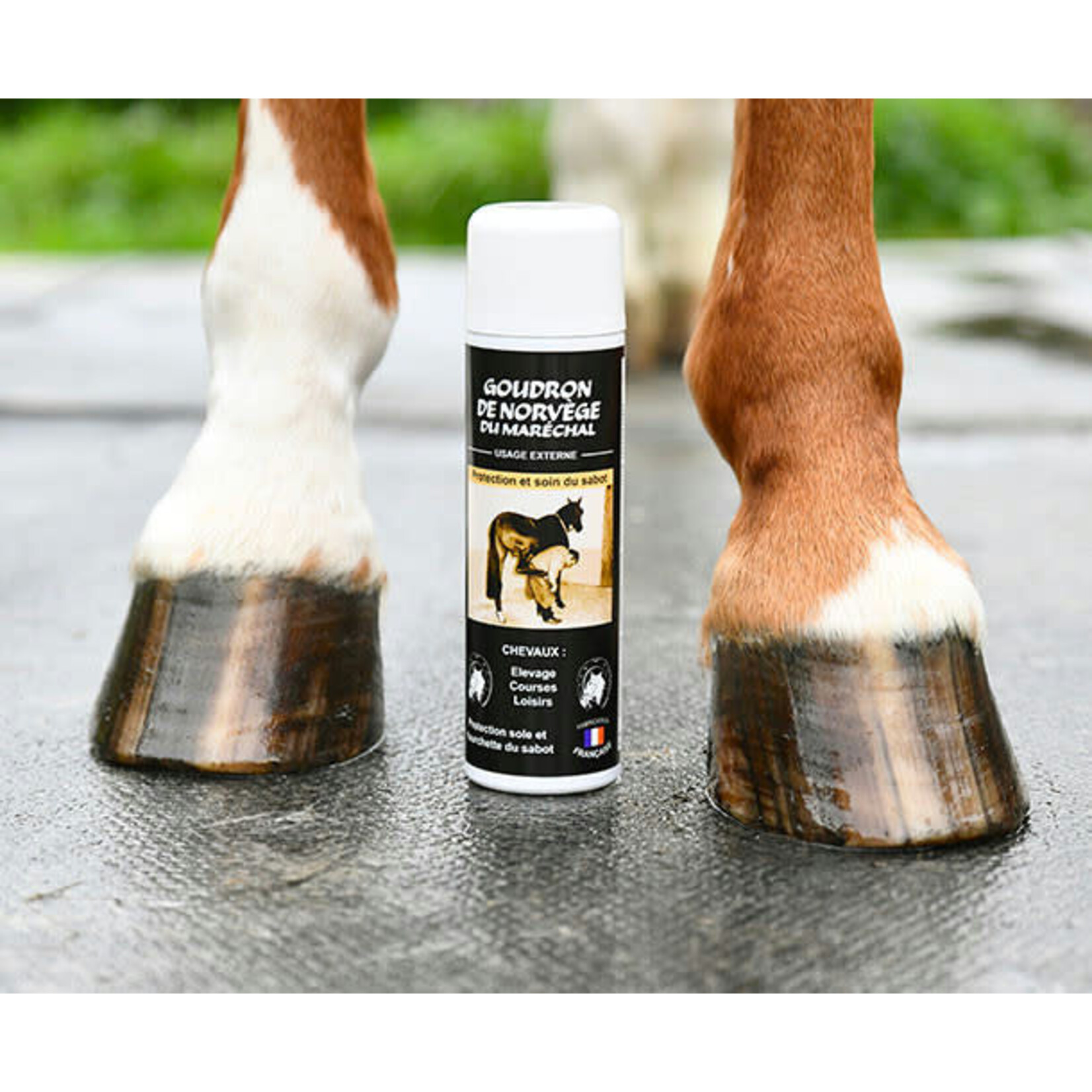 ODM Noorse teer Spray 500ml
