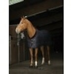 Equithème Equithème Teddy Staldeken