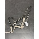 2de Hands 158-17 QHP Veulenhalster Full Beige