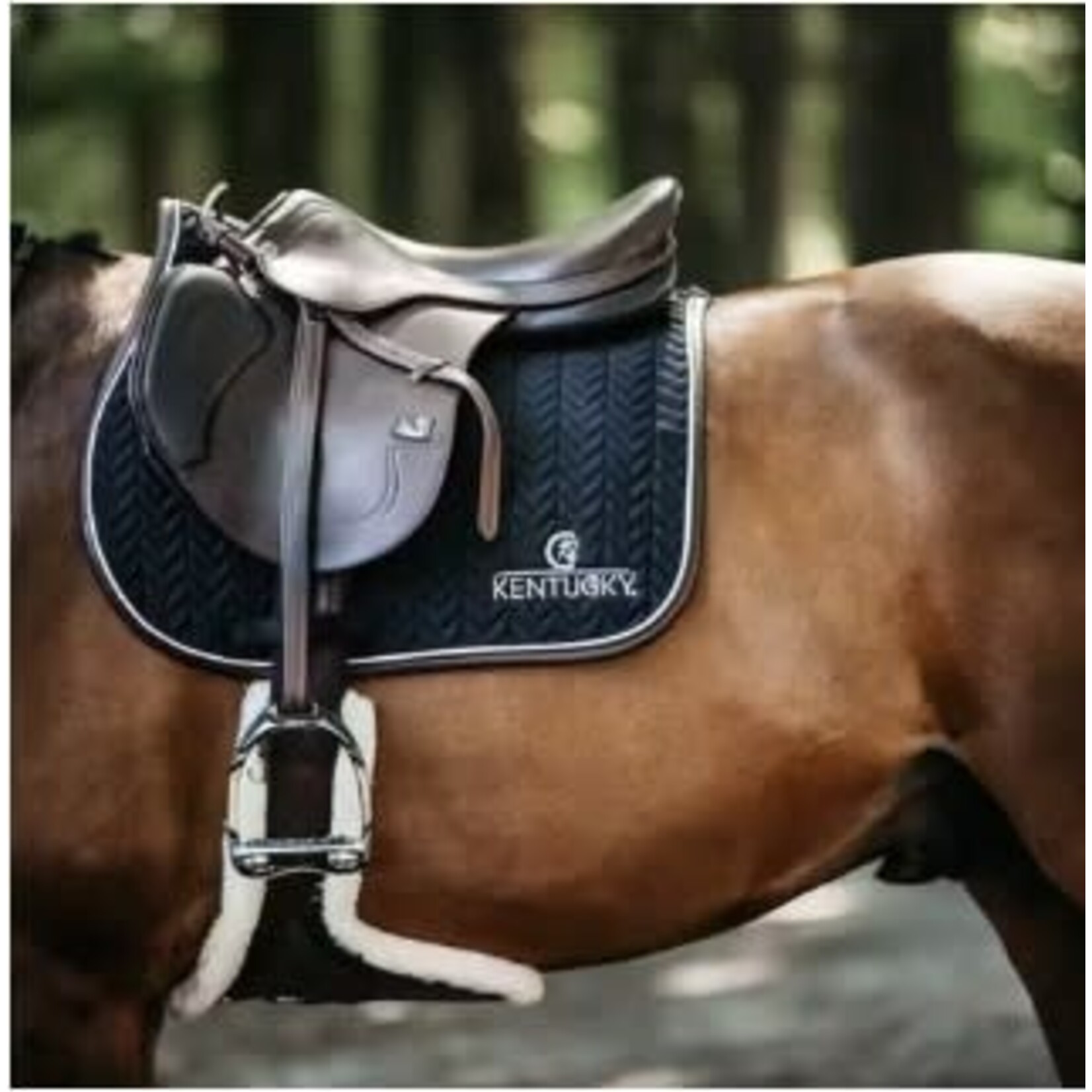 Kentucky Kentucky Zadeldoek Fishbone Leder Zwart Jumping