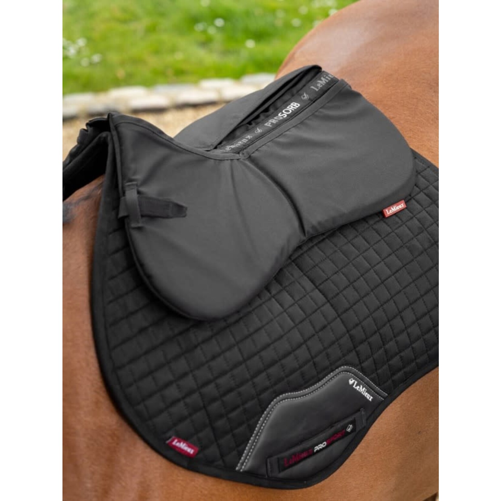 LeMieux Lemieux Zadelonderlegger ProSorb Plain 2 Pocket Zwart M