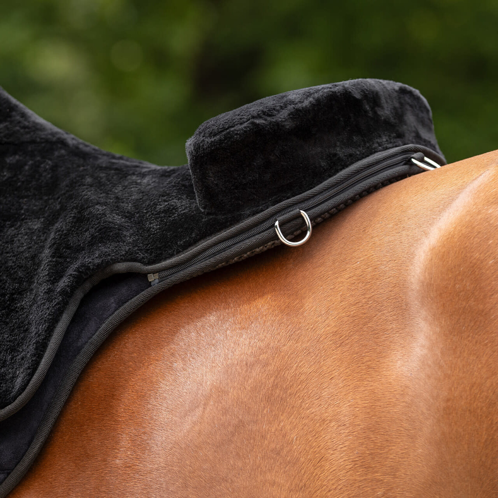 QHP Qhp Bareback pad super soft Zwart/Zwart Full