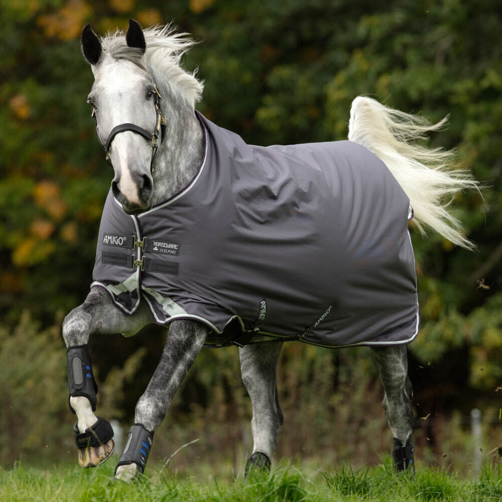 Amigo Amigo Bravo 12 Medium 250 Gr