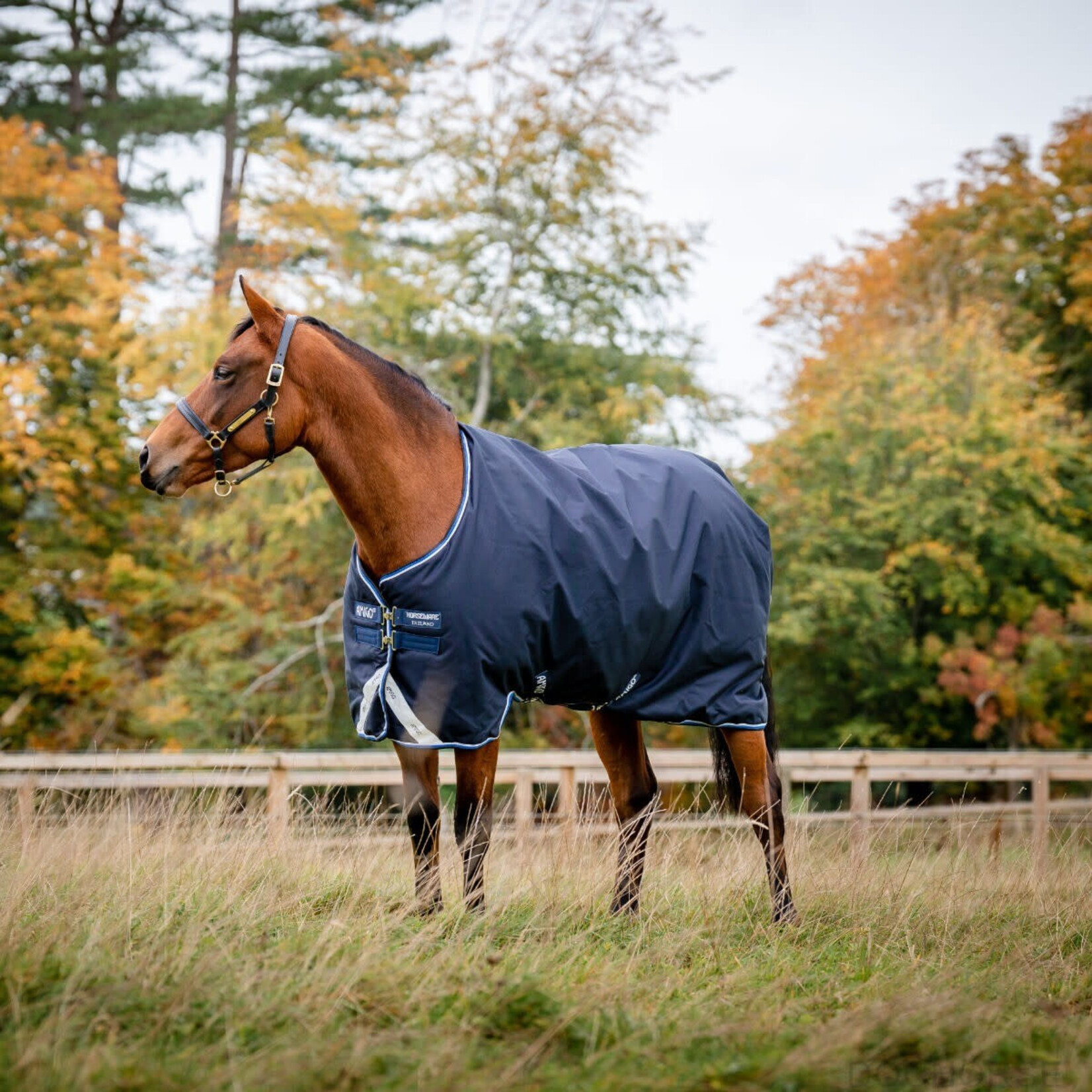 Amigo Amigo Bravo 12 Medium 250 Gr