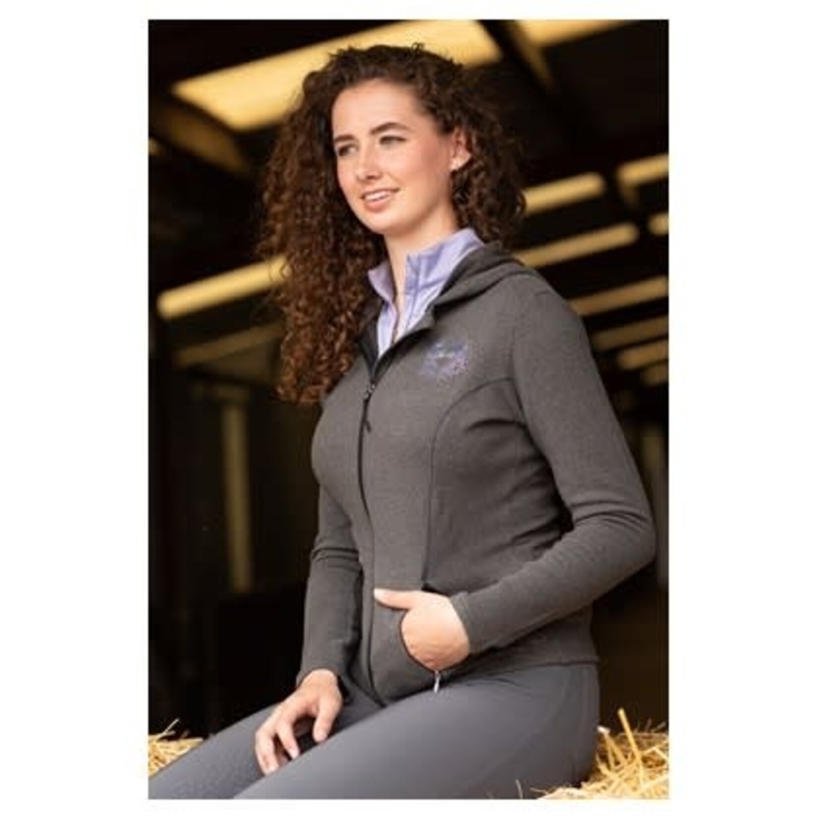 Harry's Horse Harry's Horse Hoodie Trendy Ivy