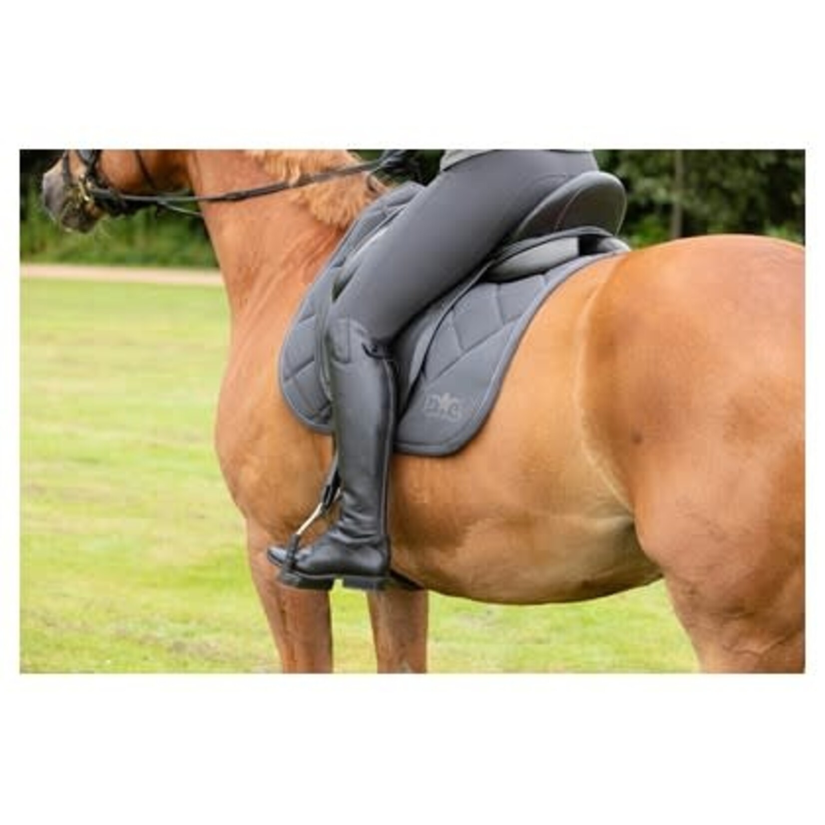 Harry's Horse Harry's Horse Zadeld. Denici Shadow Black-Sand