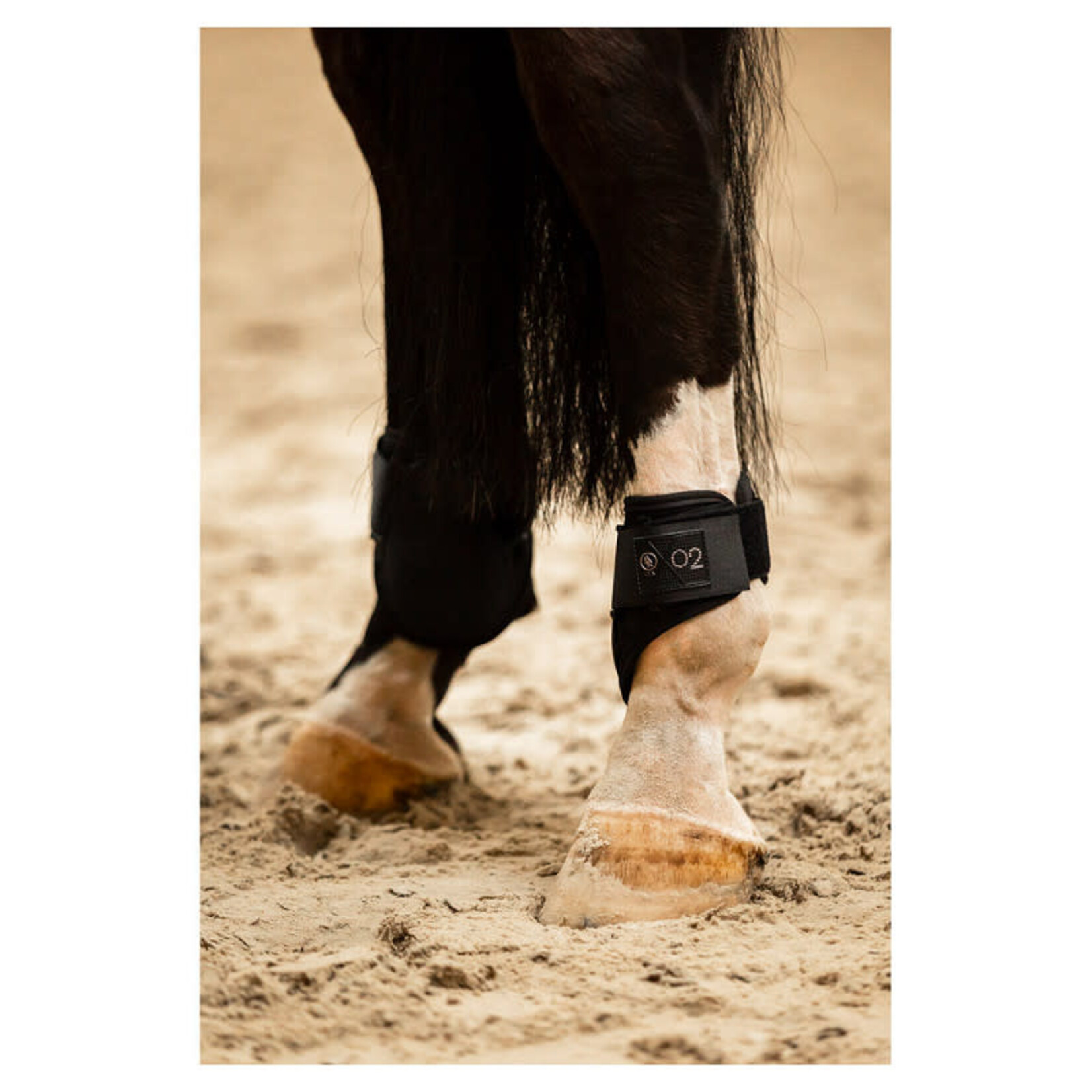 BR BR CLX XO2 Strijklappen Cob Zwart