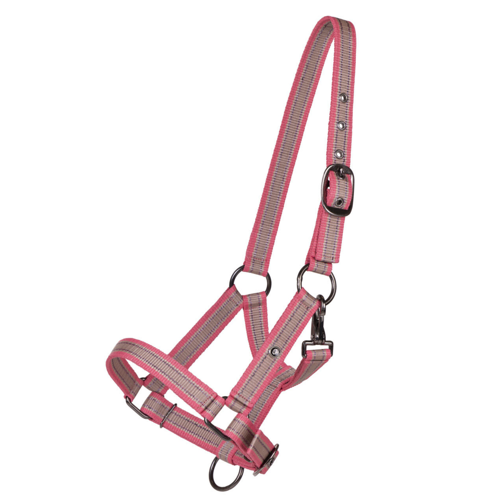 QHP QHP Veulenhalster Flamingo