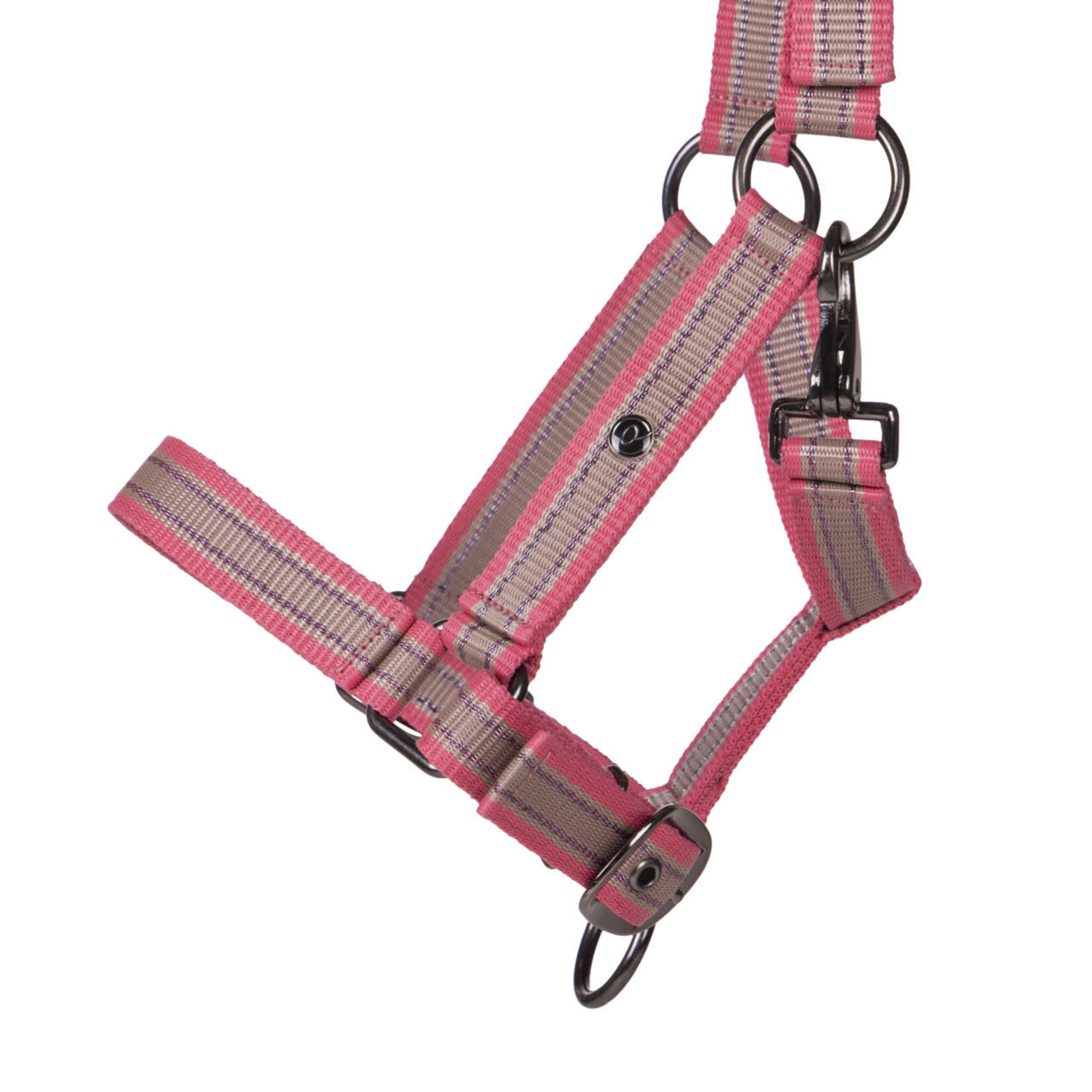 QHP QHP Veulenhalster Flamingo