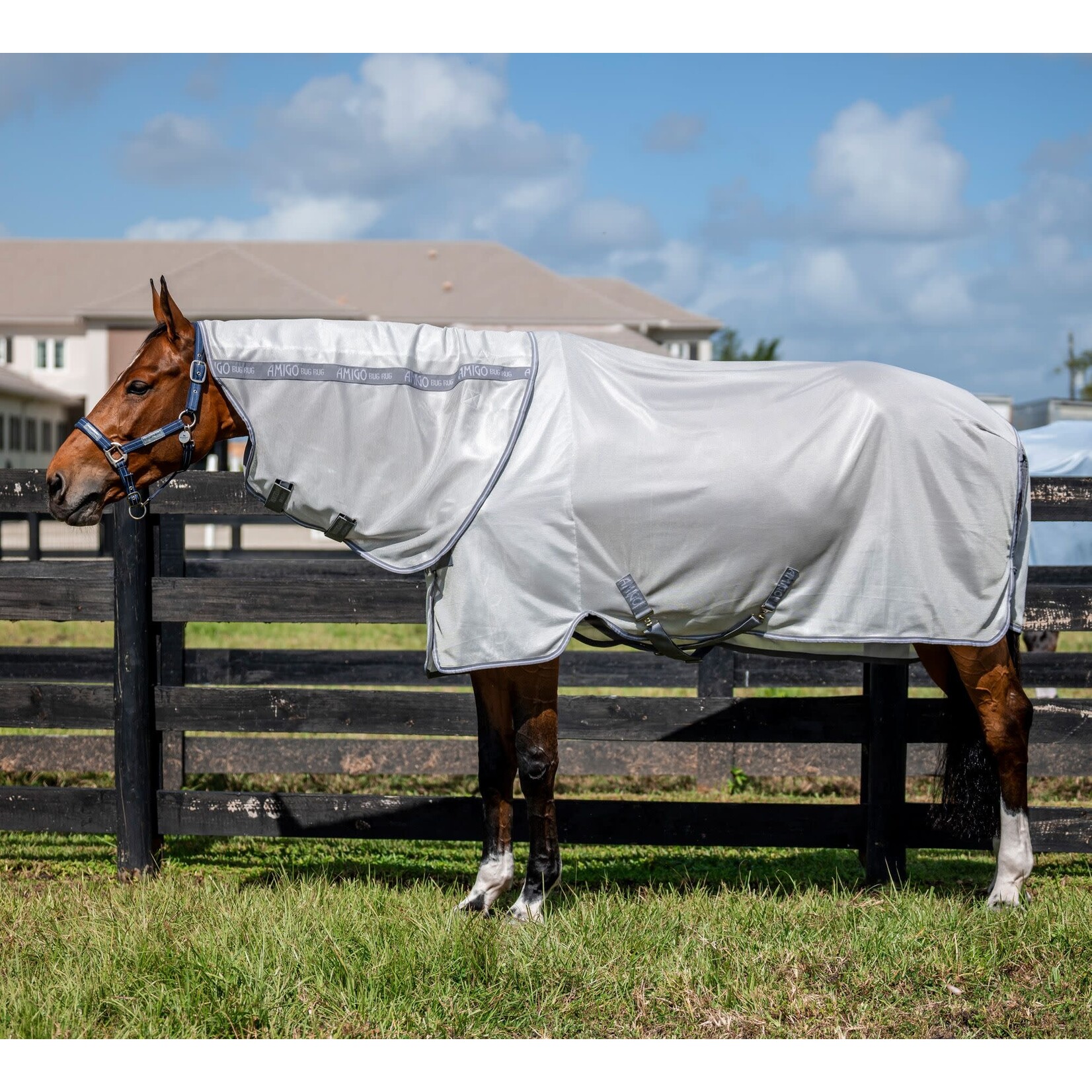 Horseware Horseware Amigo Bug Rug Zilver/Titanium