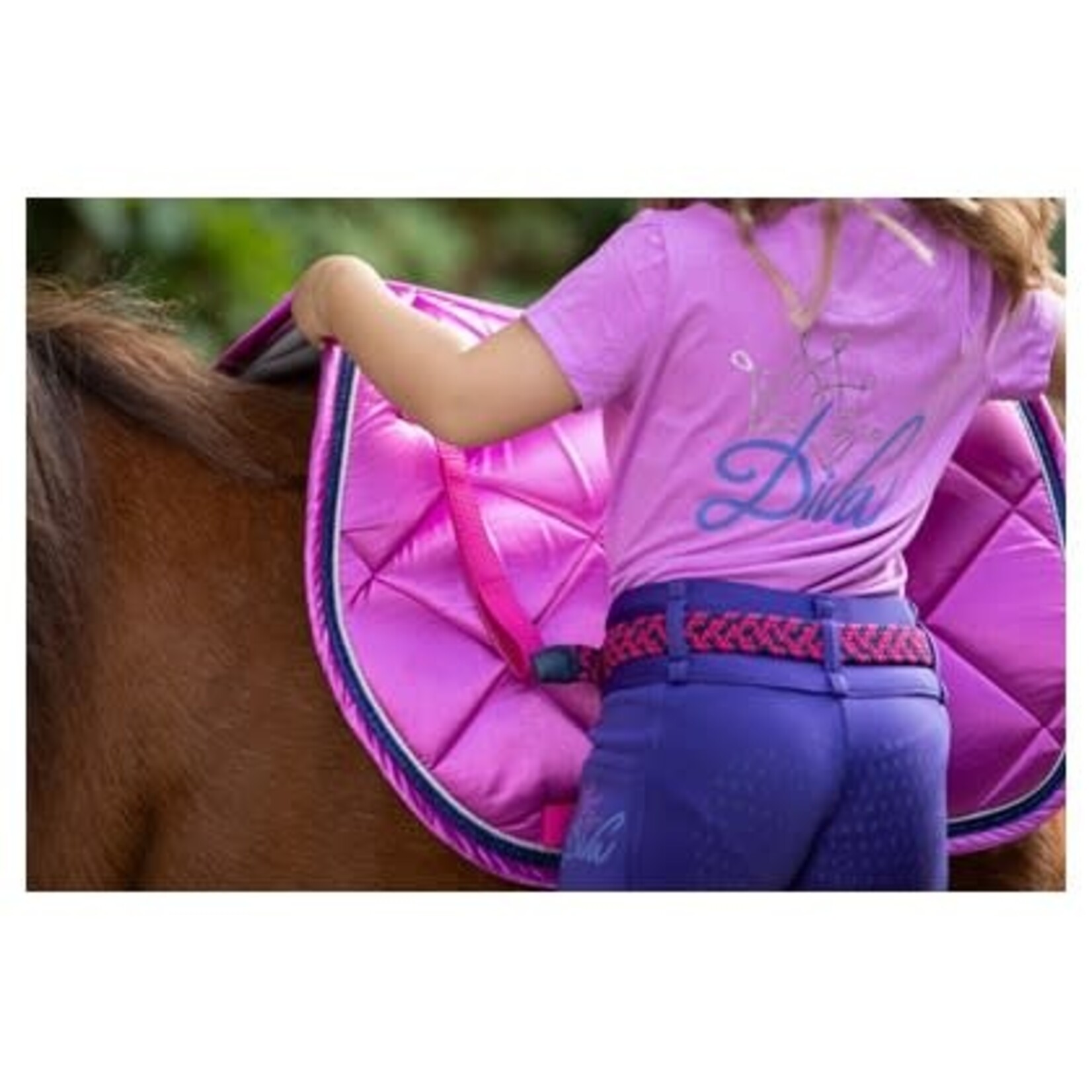 Harry's Horse Harry's Horse Rijlegging Diva Violet