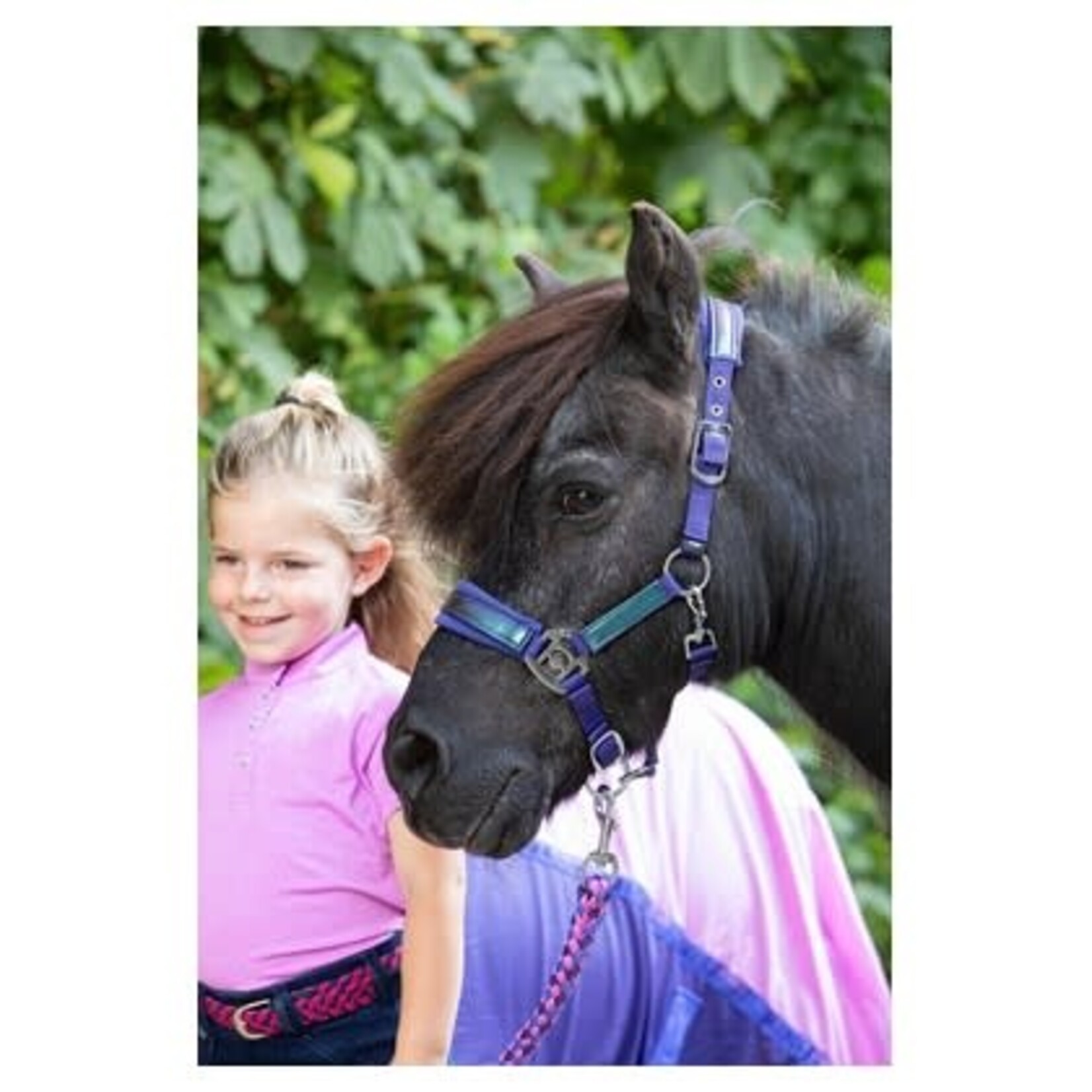 Harry's Horse Harry's Horse Halsterset Diva Violet