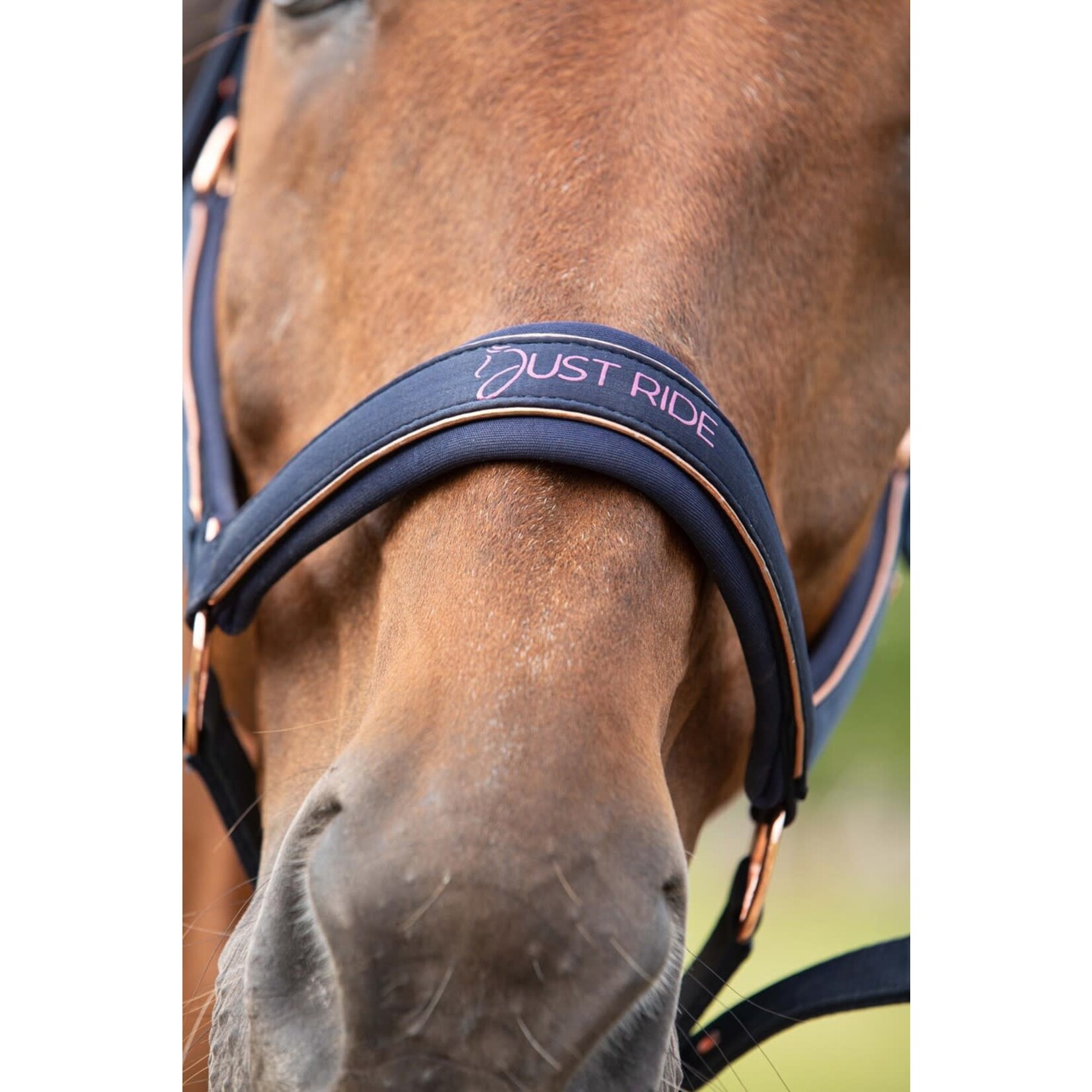 Harry's Horse Harry's Horse Halsterset Night Sky