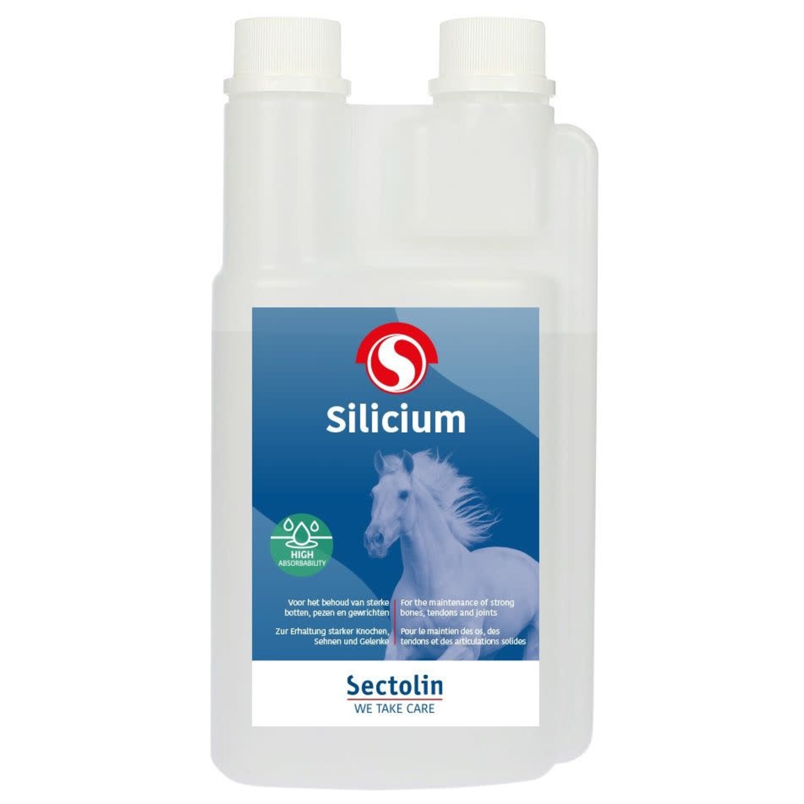 Sectolin Sectolin Silicium 1L