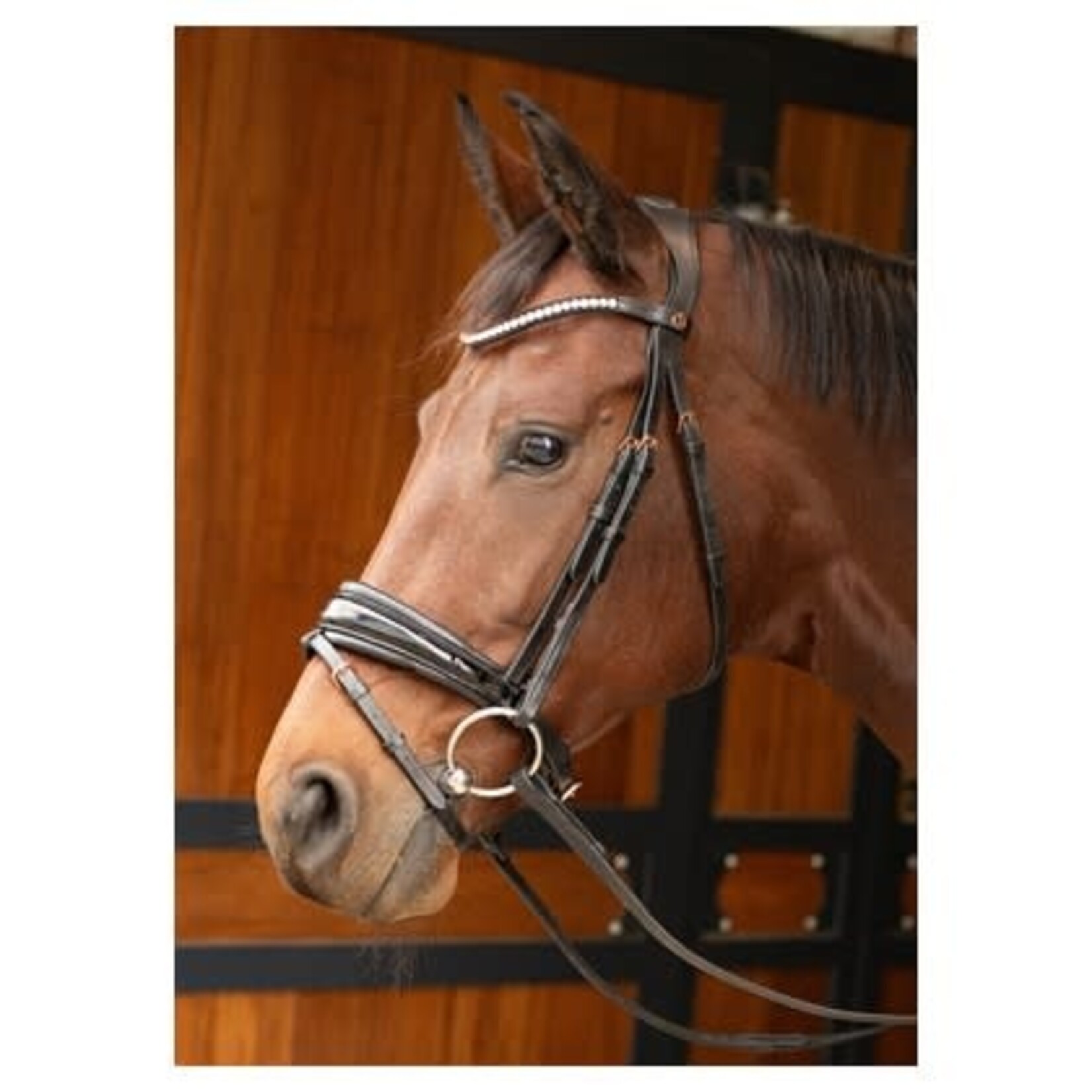 Harry's Horse Harry's Horse hoofdstel Rosegold Lacque II