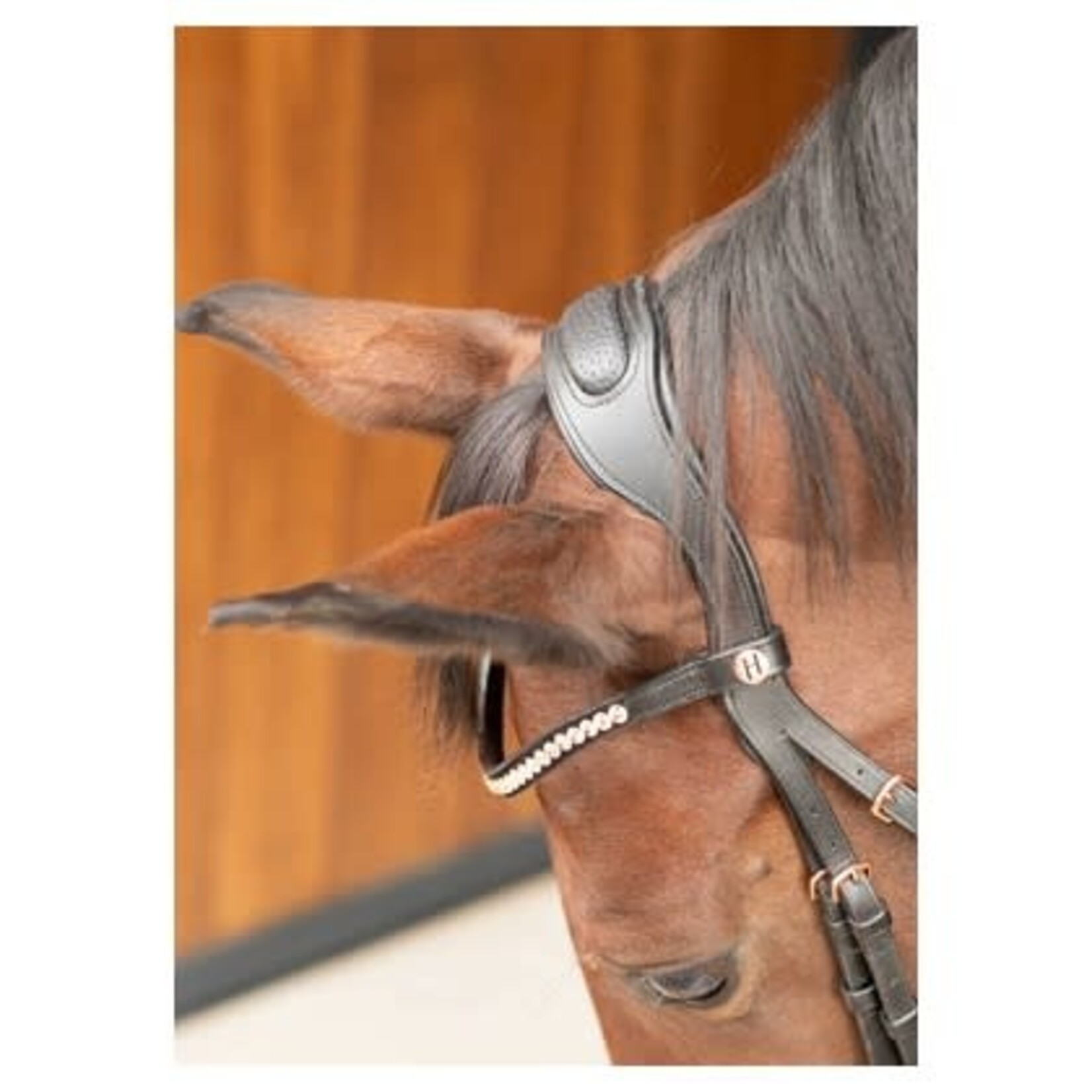 Harry's Horse Harry's Horse hoofdstel Rosegold Lacque II