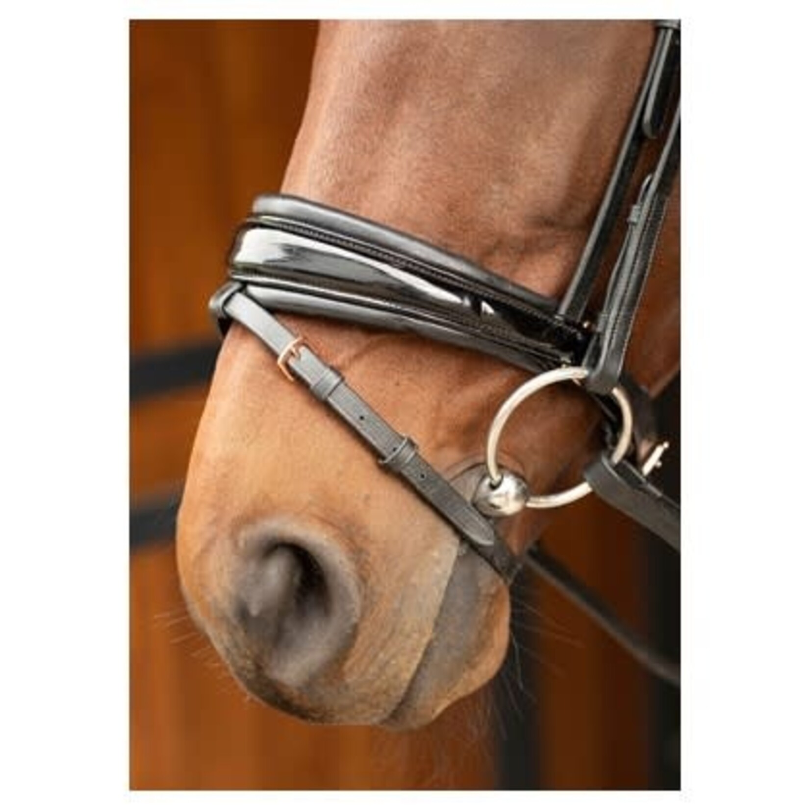 Harry's Horse Harry's Horse hoofdstel Rosegold Lacque II