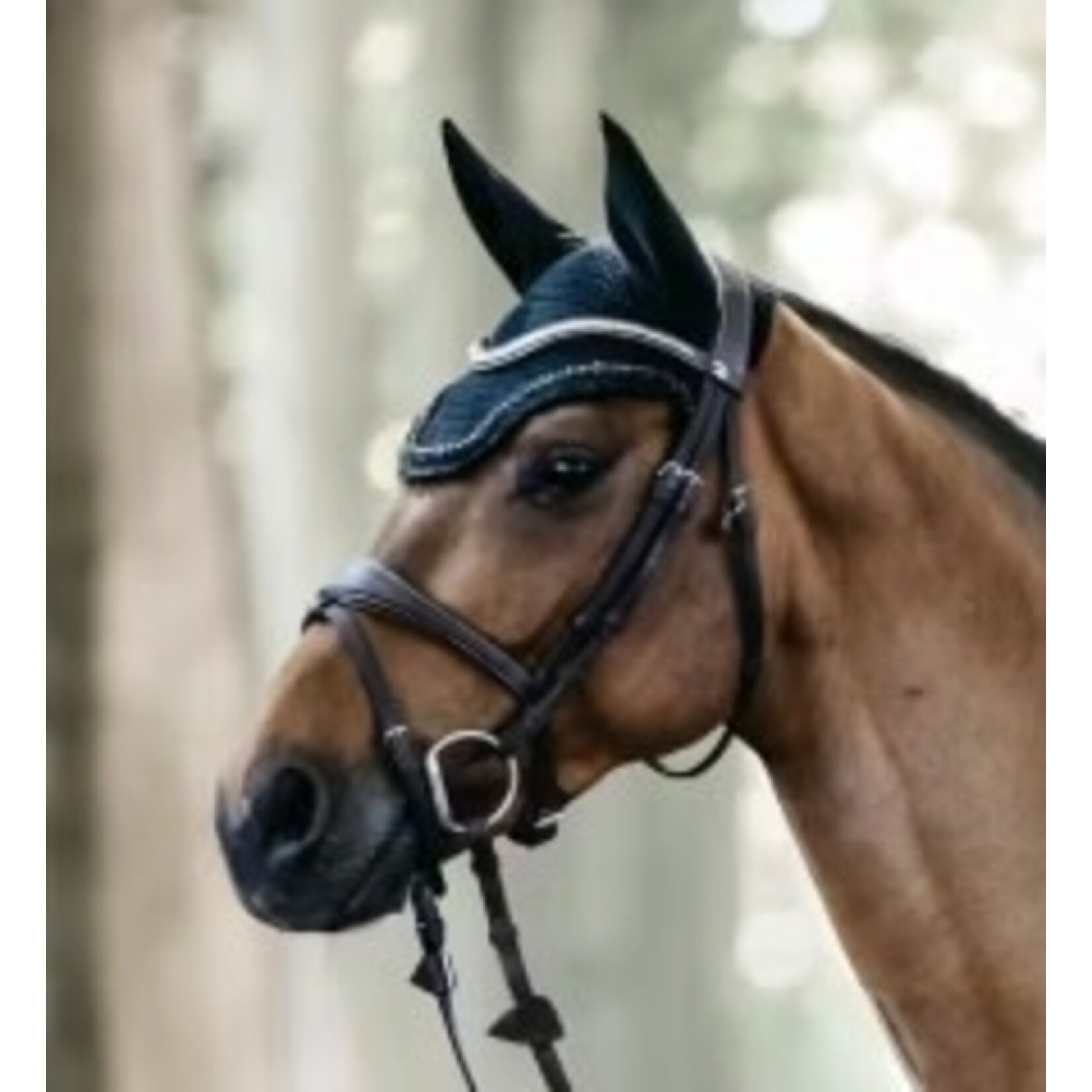 Kentucky Kentucky Oornetje Wellington Stone & Paerl Navy
