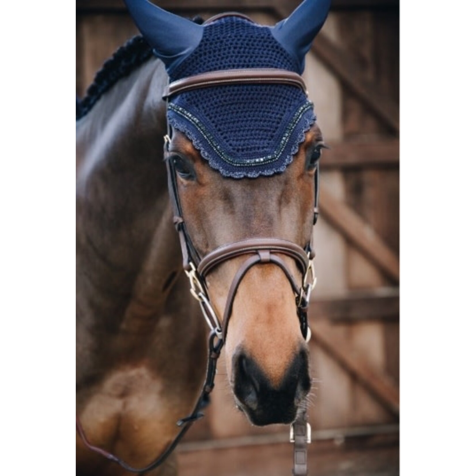 Kentucky Kentucky Oornetje Wellington Stone & Paerl Navy