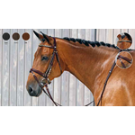Equilook Hoofdstel Cristobal Bruin
