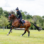 LeMieux Lemieux Zadeldoek Suede Close Contact Square/Cranberry