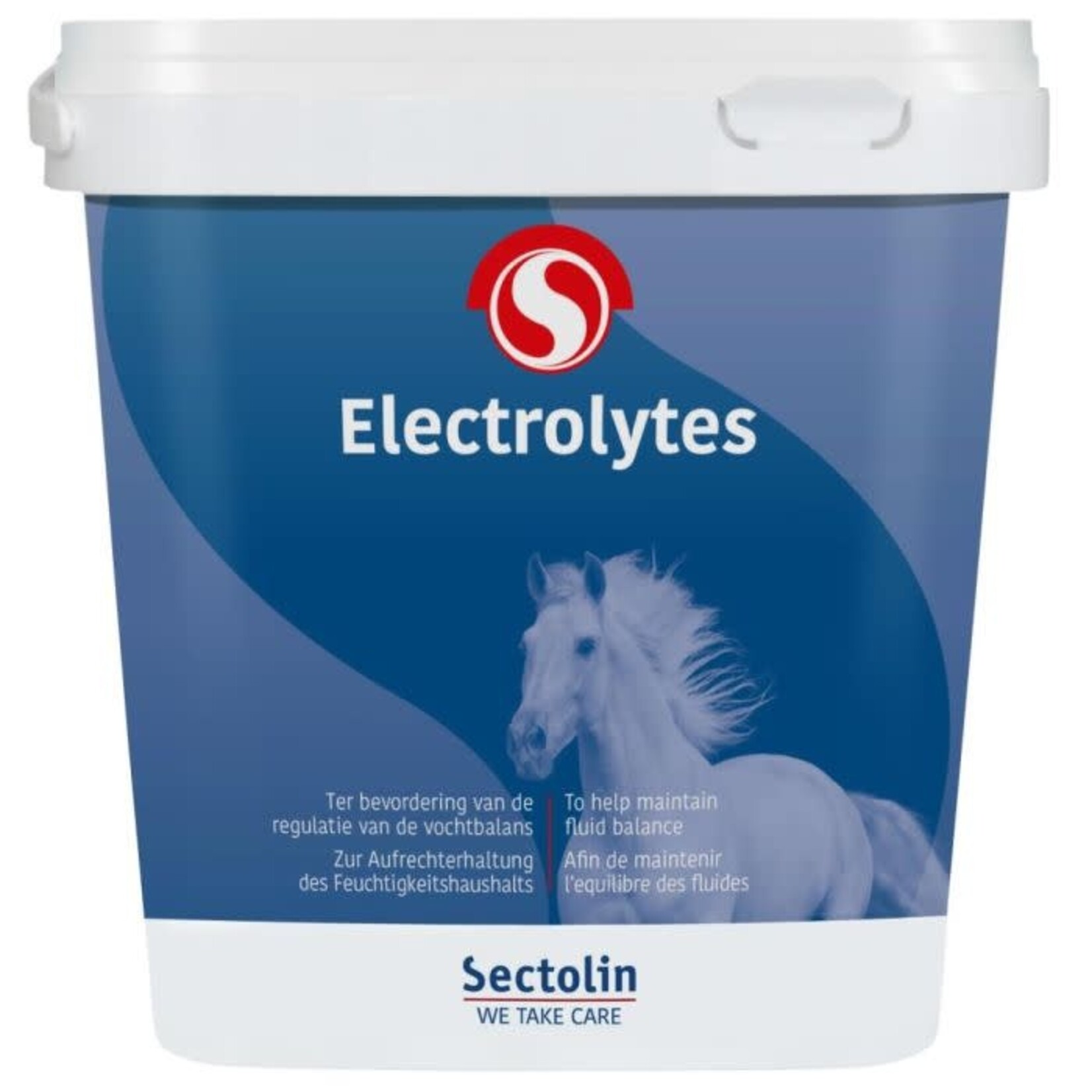 Sectolin sectolin Electrolytes 3KG
