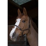 Norton Norton Club Lederen halster