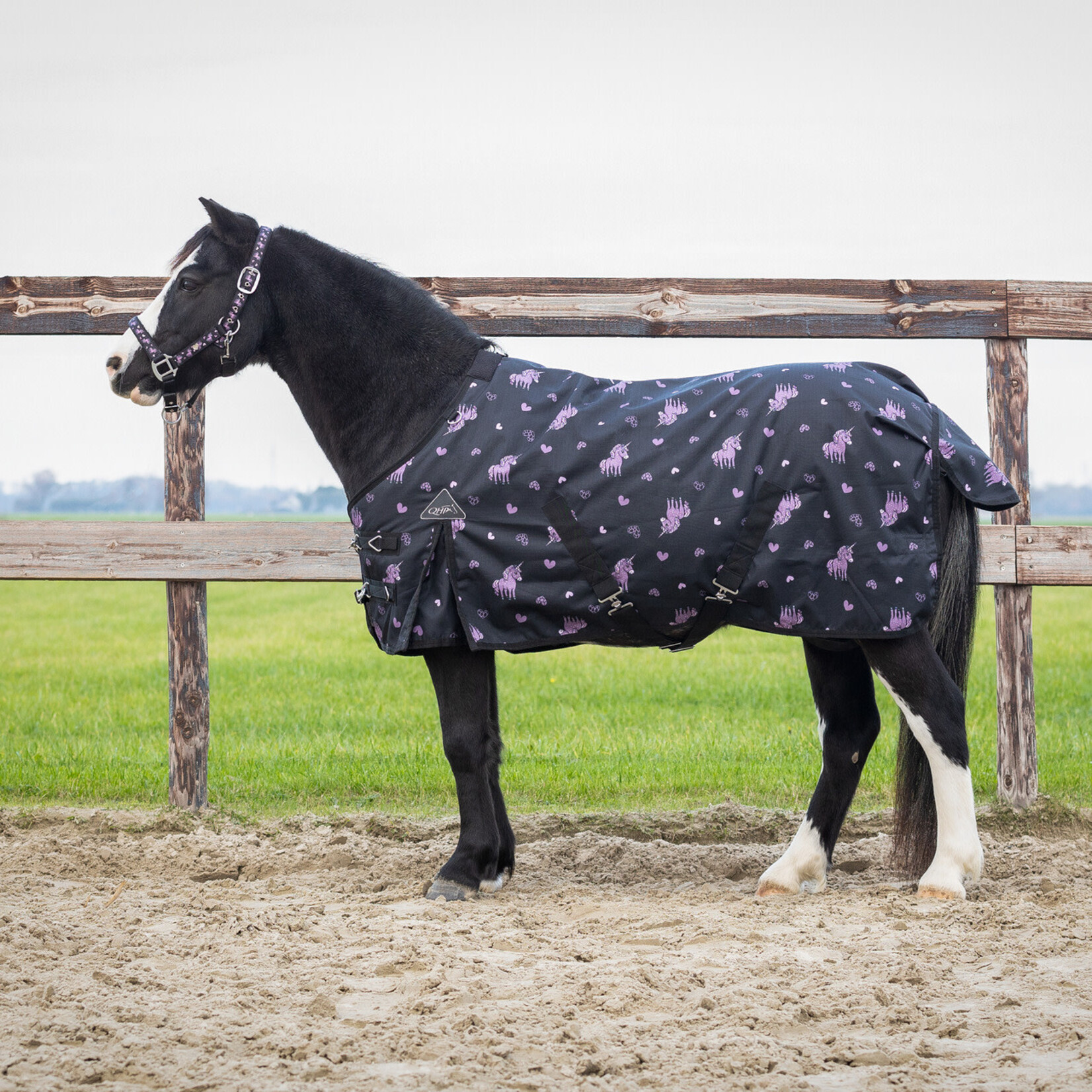 QHP QHP Regendeken Turnout Lize 100gr Zwart/Violet