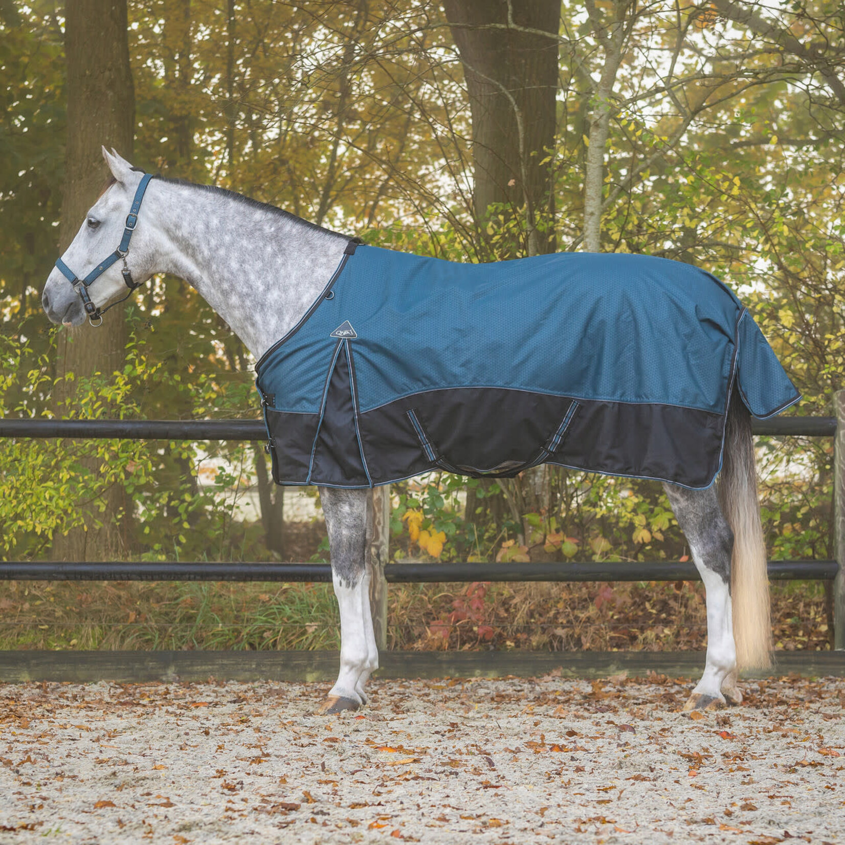QHP QHP Regendeken Turnout Collection 150gr Mystic Blue