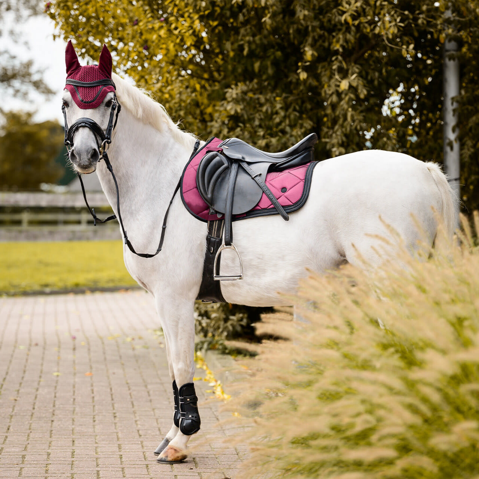 QHP QHP Zadeldoek Zahra/Wine Red