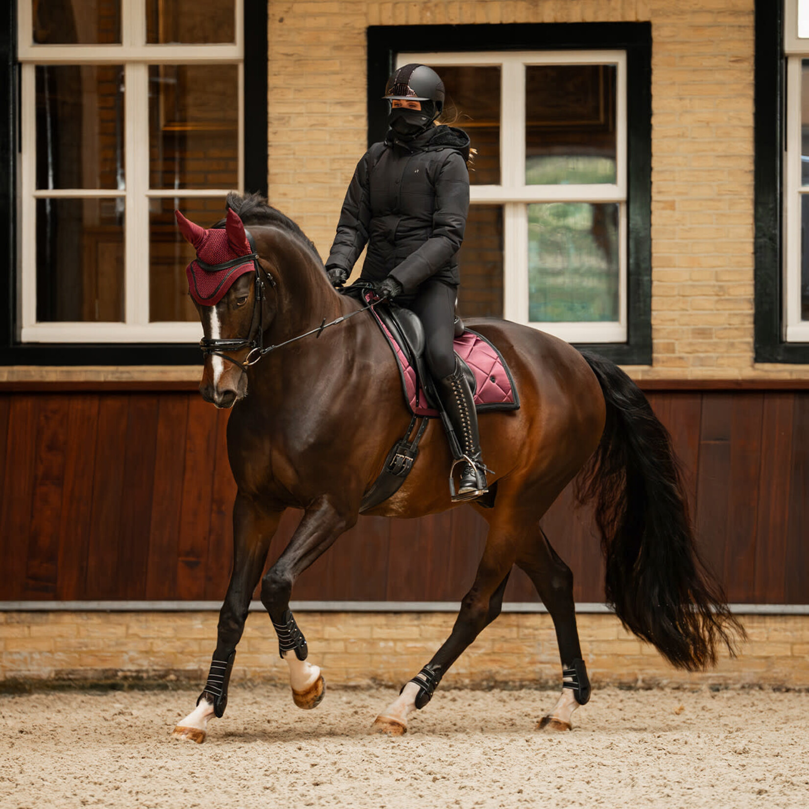 QHP QHP Zadeldoek Zahra/Wine Red