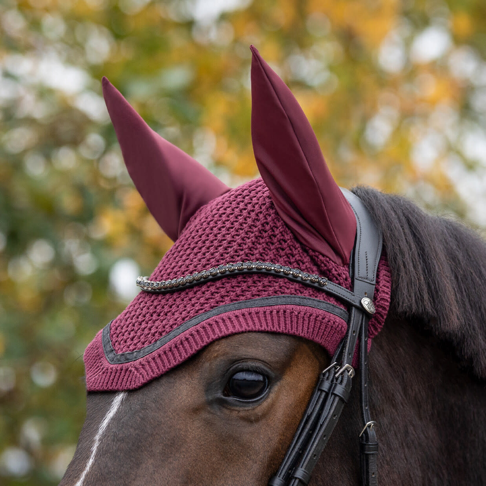 QHP QHP Oornetje Zahra Wine Red Cob