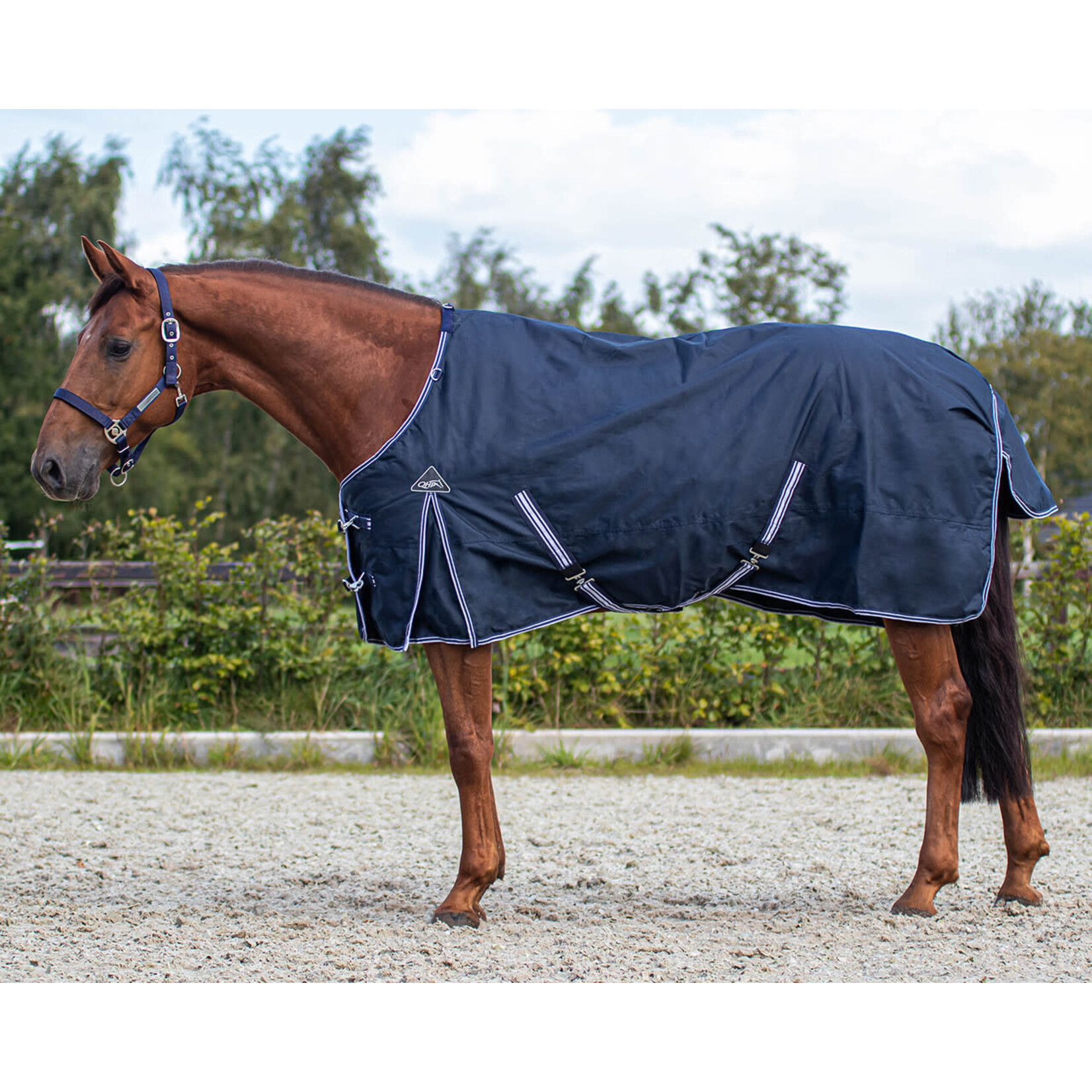 QHP Regendeken turnout luxe Navy  0gr