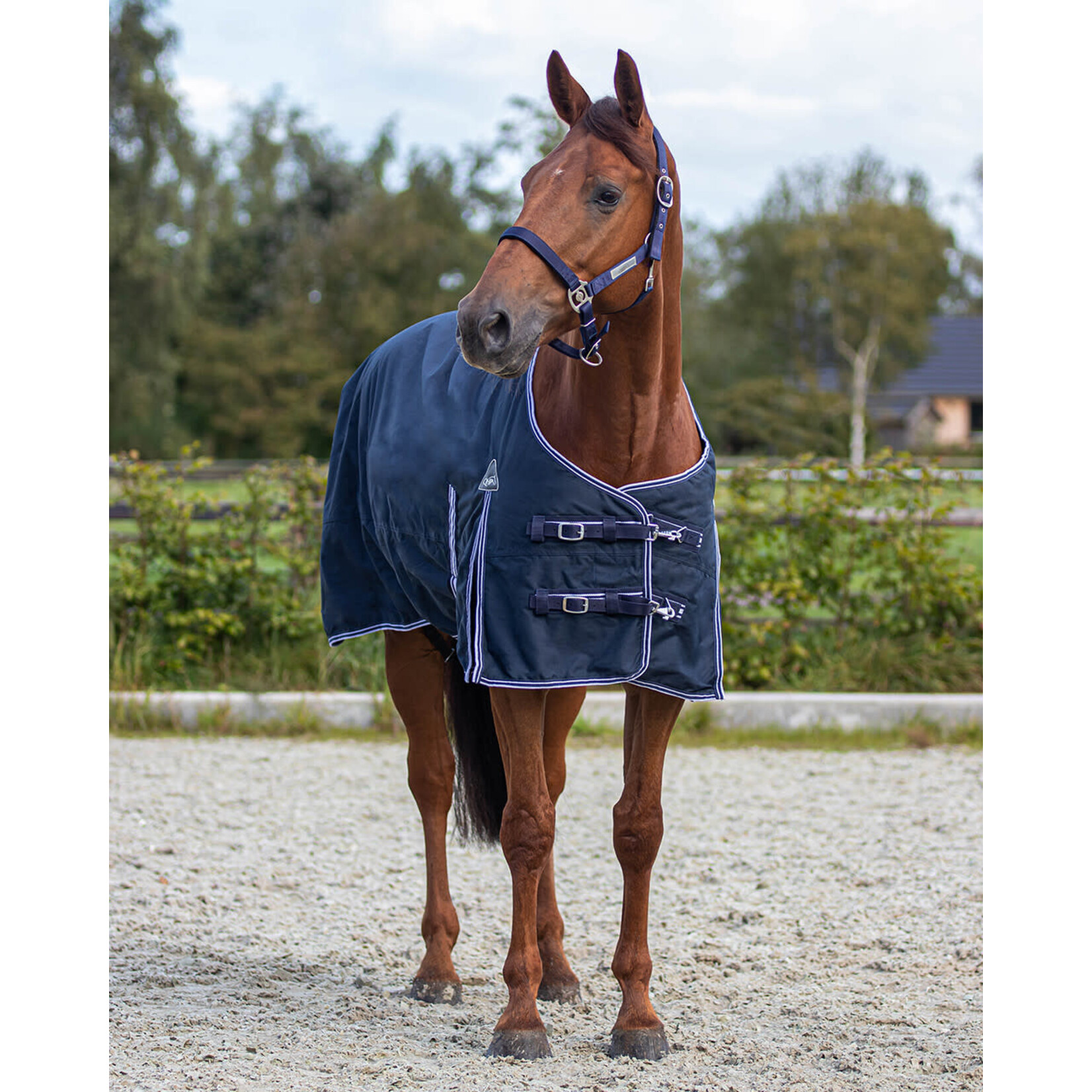 QHP Regendeken turnout luxe Navy  0gr
