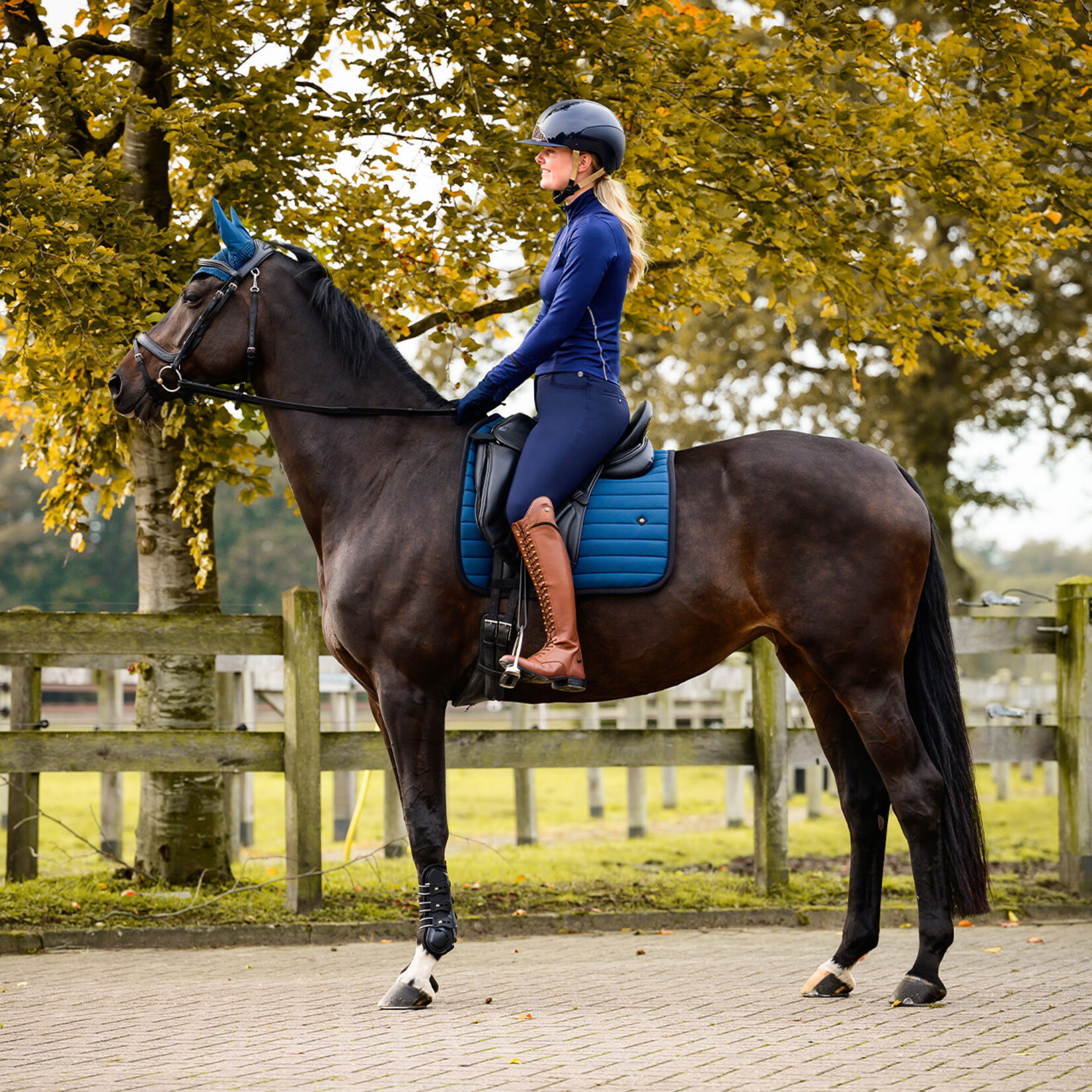 QHP QHP Rijbroek Lymee softshell Navy