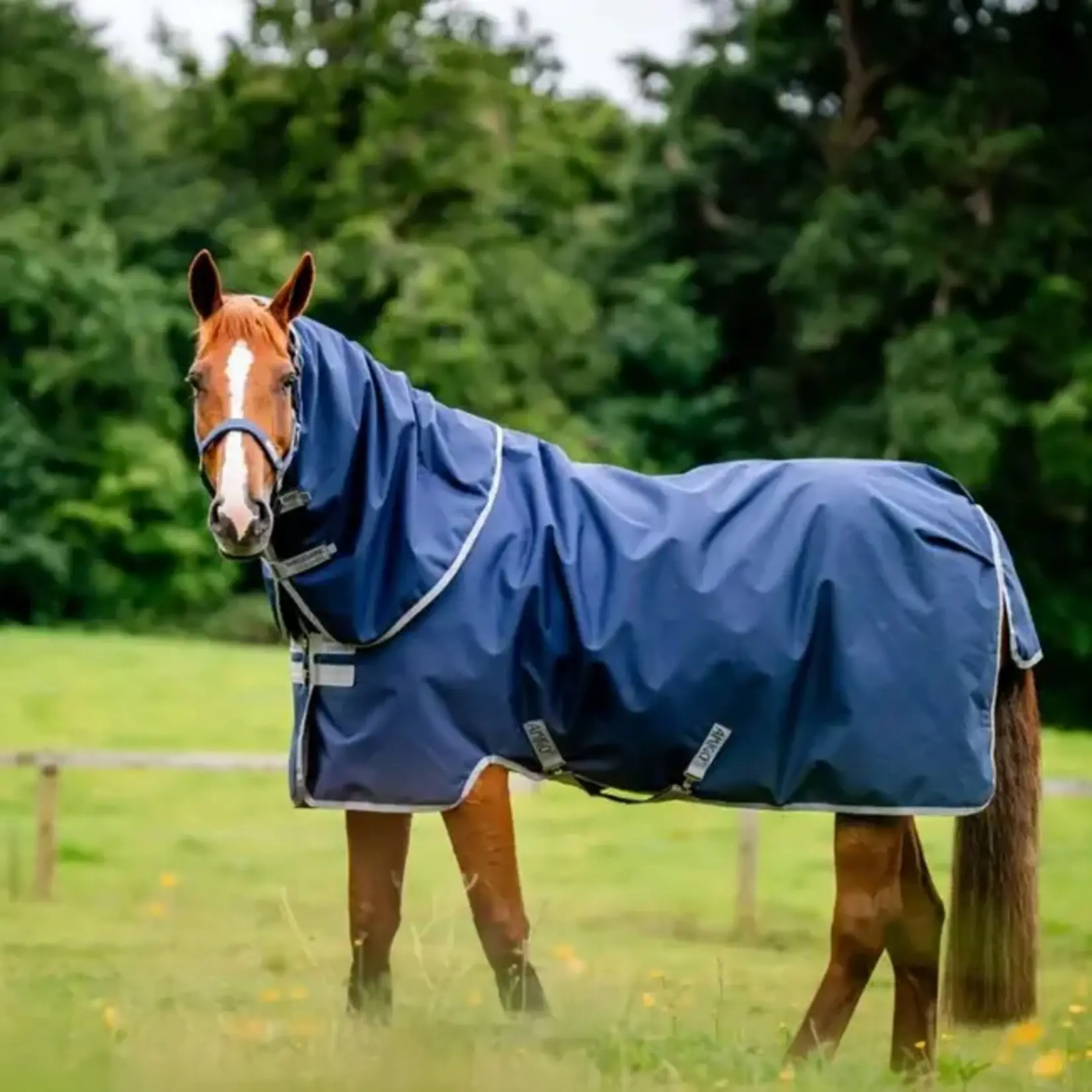 Horseware Amigo Ripstop 900D Plus Turnout 200gr
