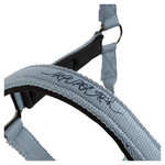 BR BR halster Eevolv Josh Ashley Blue