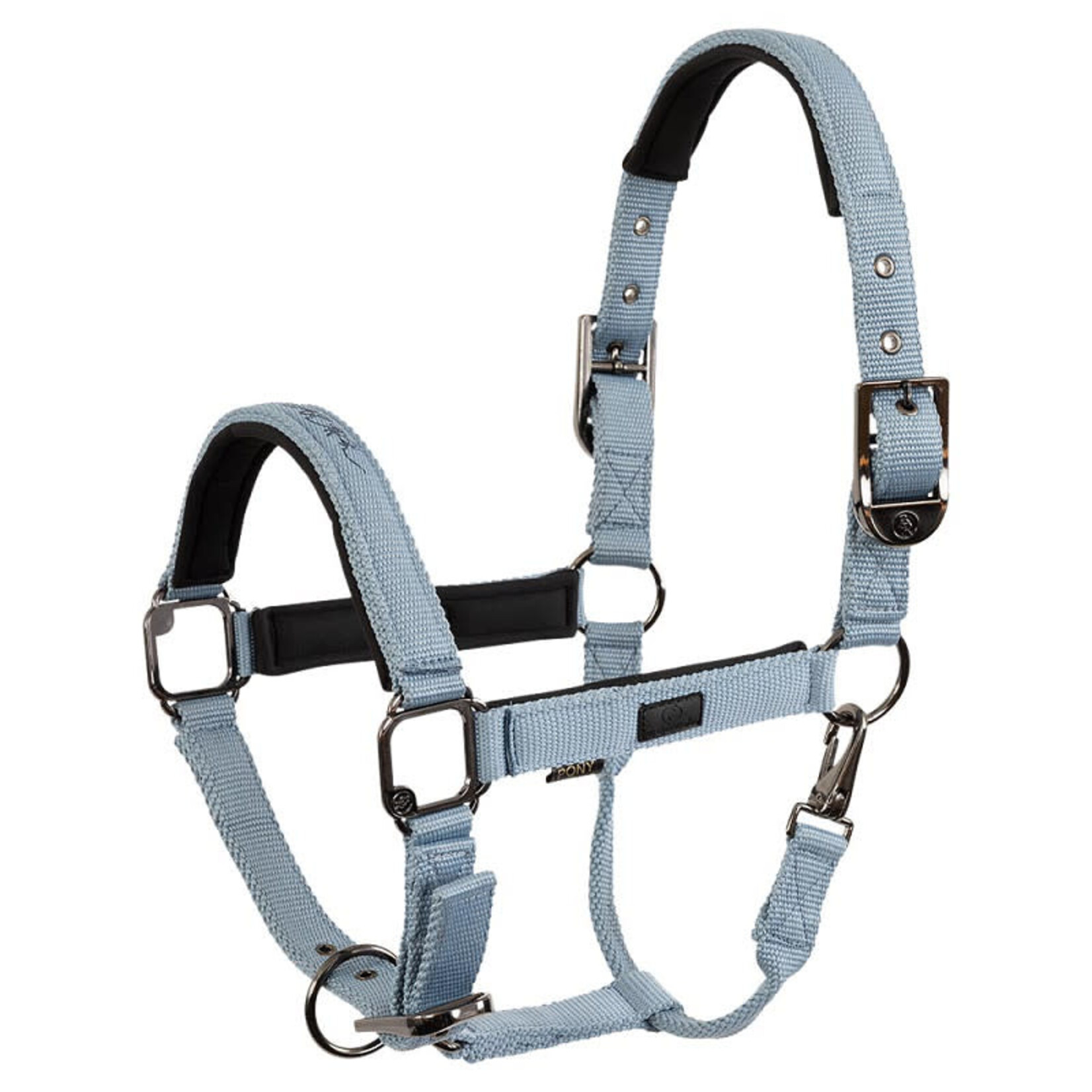 BR BR halster Eevolv Josh Ashley Blue