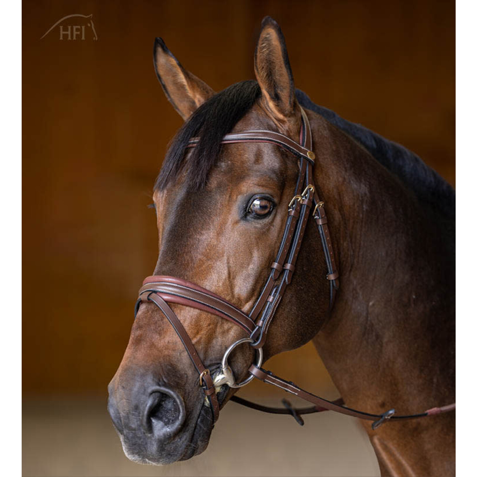 HFI HFI Hoofdstel Gecomb. Padded