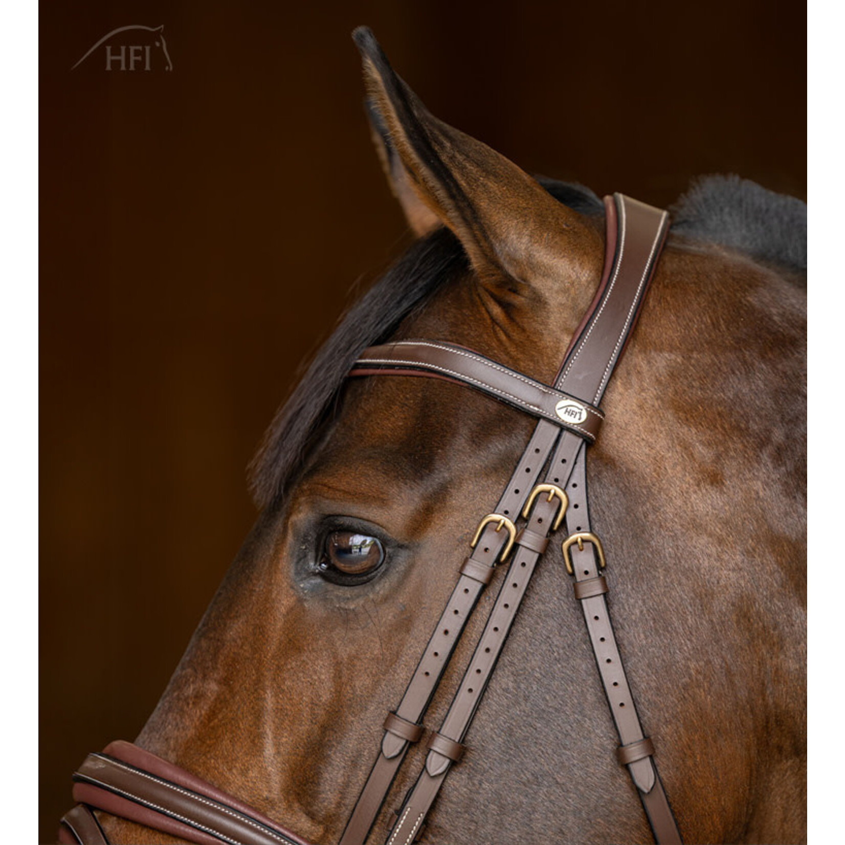 HFI HFI Hoofdstel Gecomb. Padded