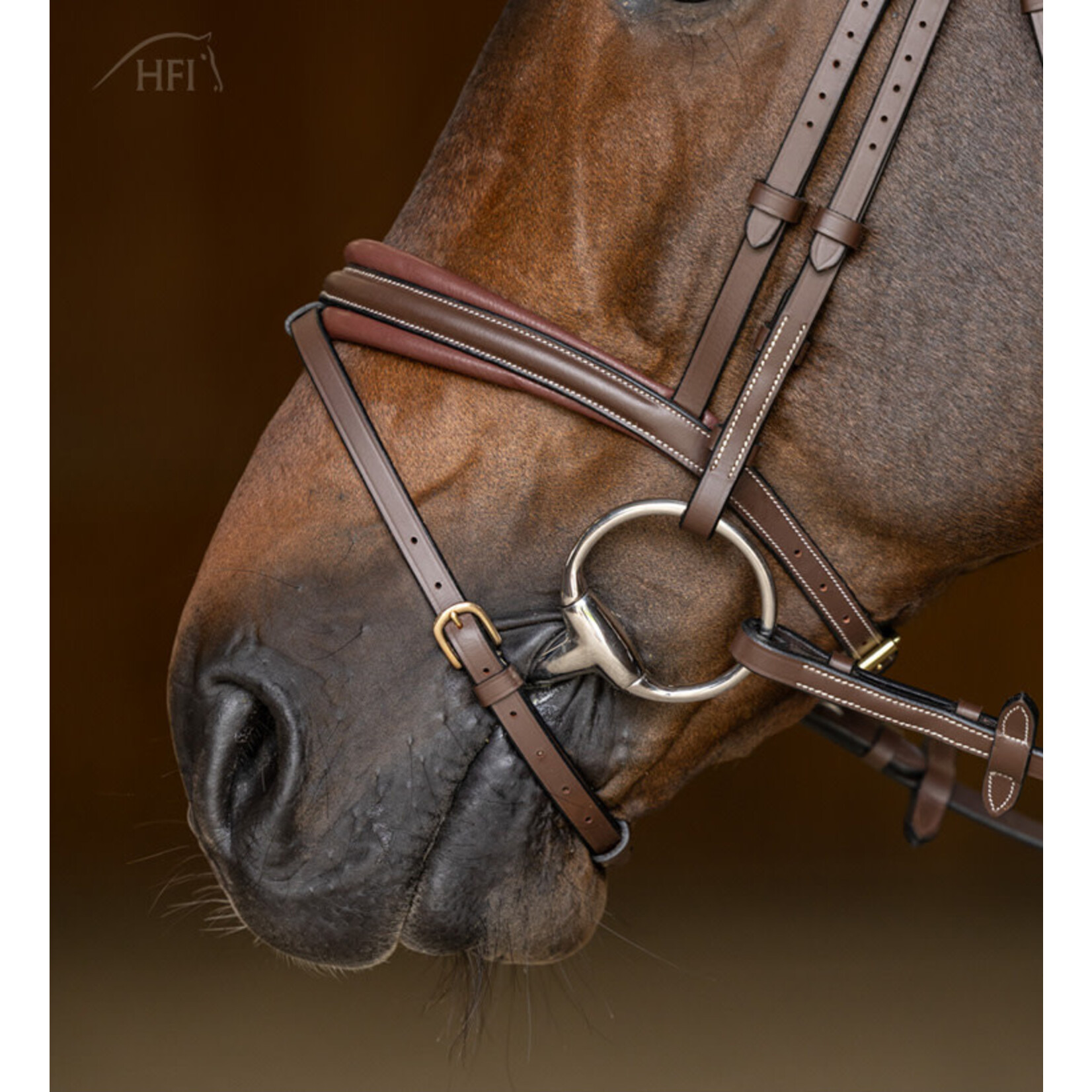 HFI HFI Hoofdstel Gecomb. Padded