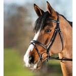 HFI HFI Hoofdstel Elegant